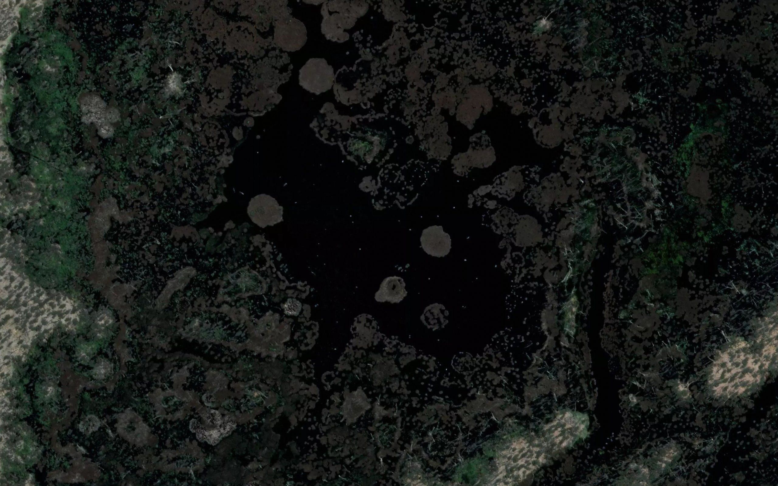 Duck Lagoon