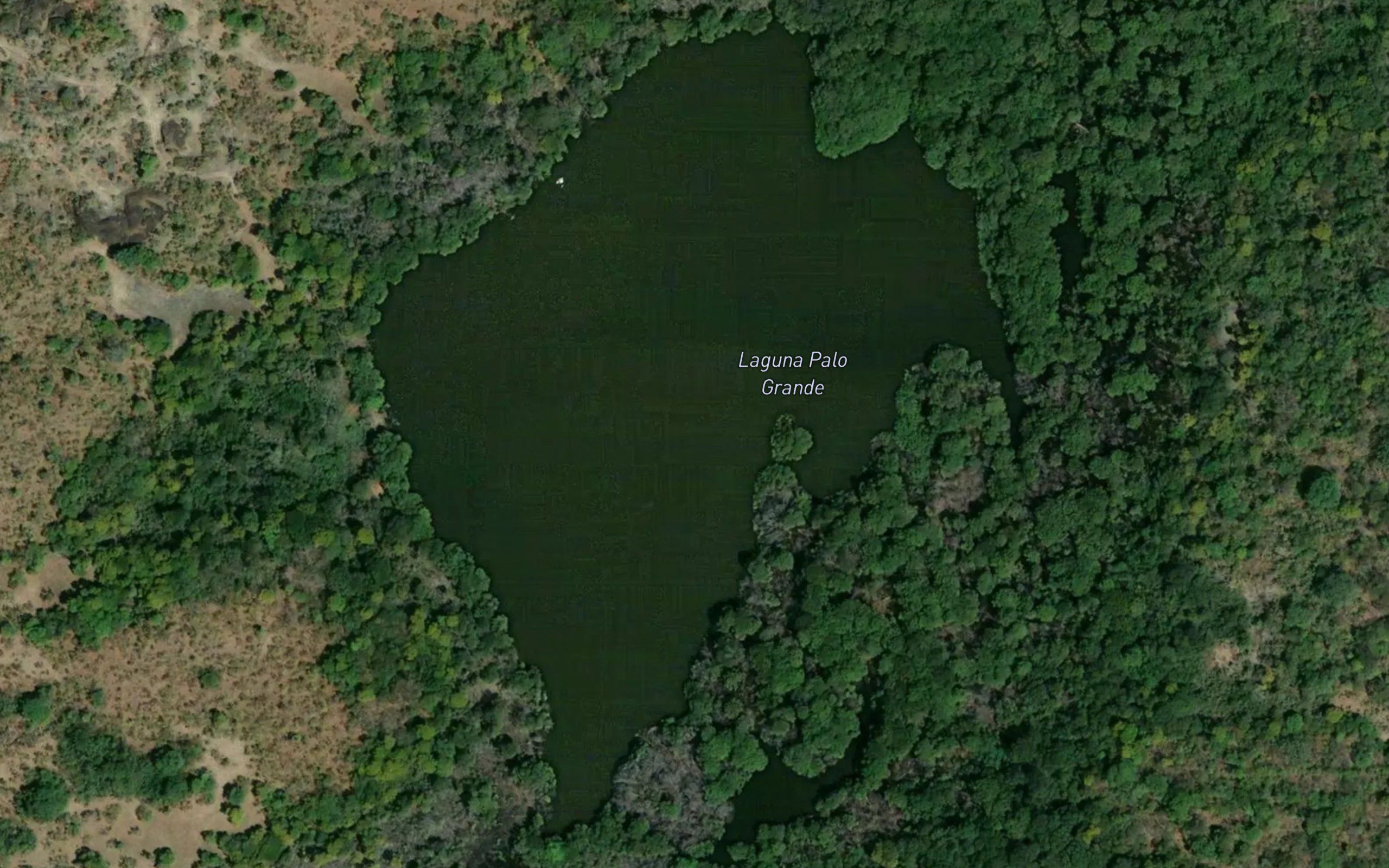 Laguna Palo Grande