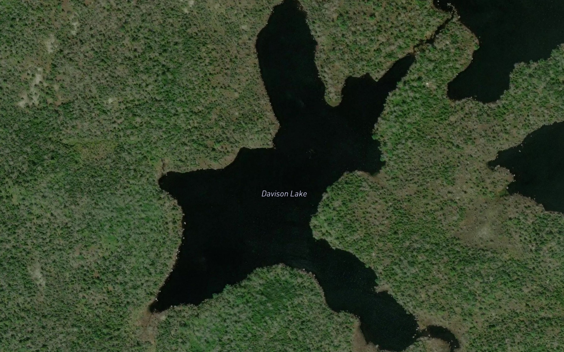 Satellite map of the Davison Lake