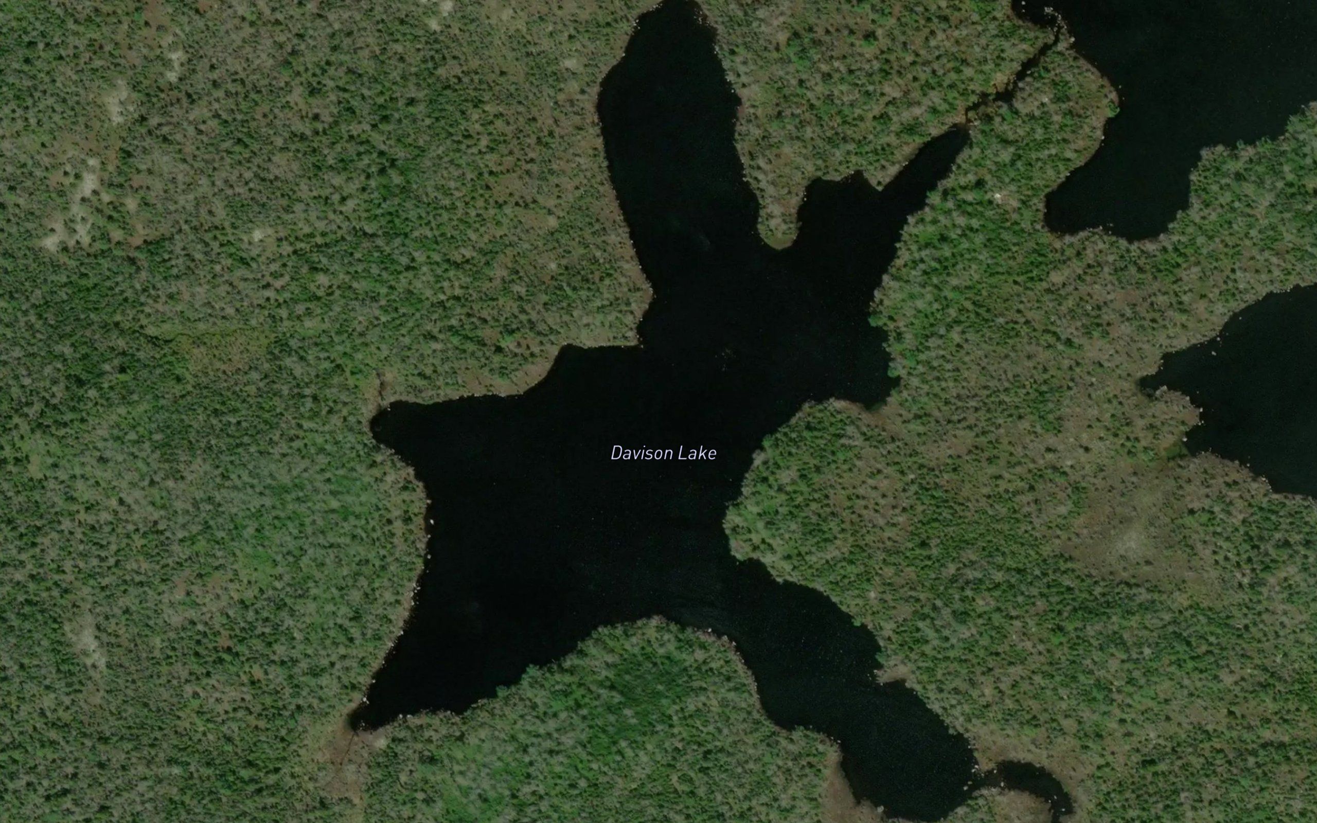 Davison Lake