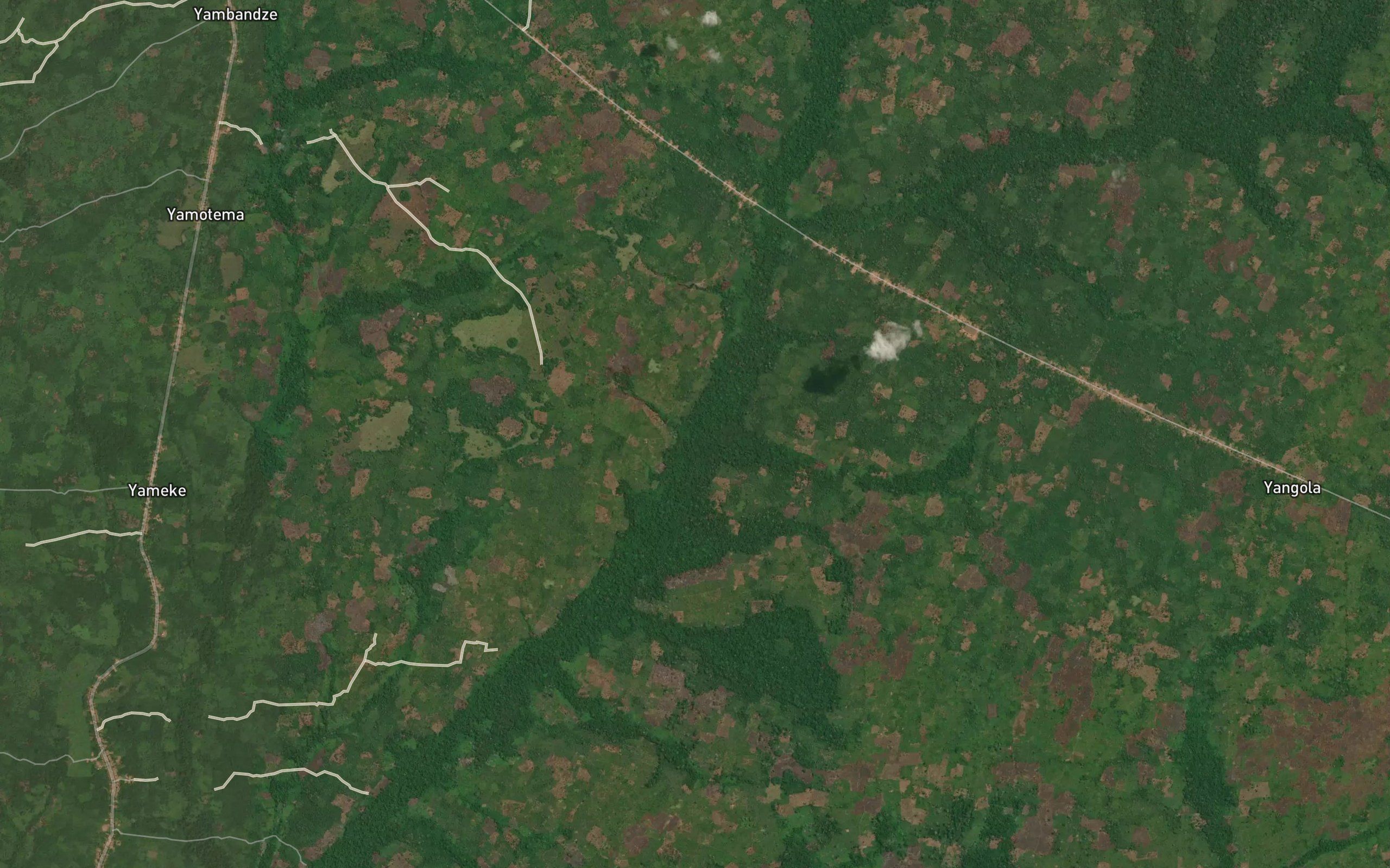 Musangule