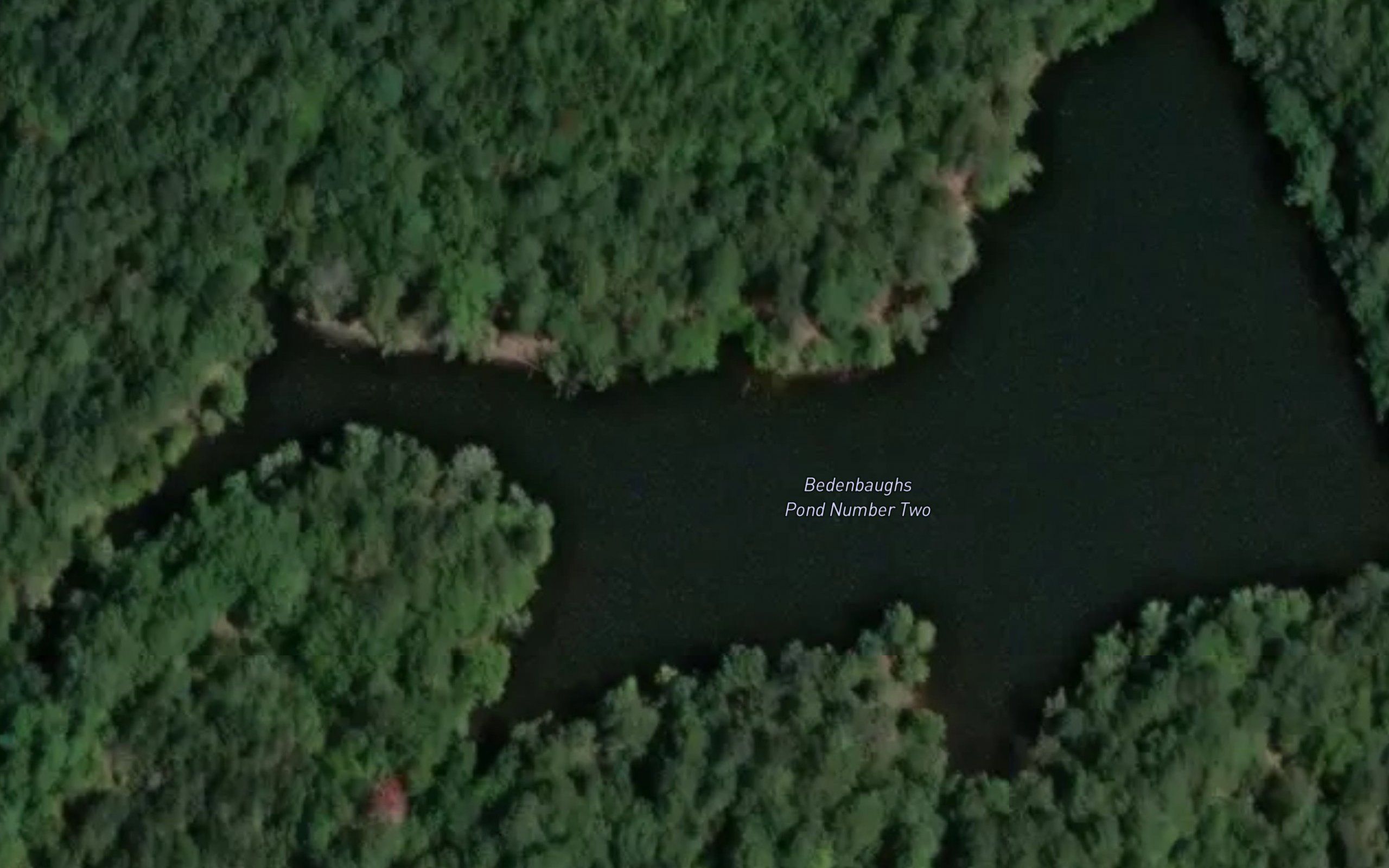 Bedenbaughs Pond Number Two