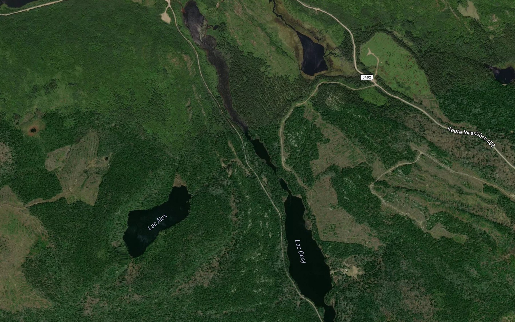 Satellite map of the Lac Desy