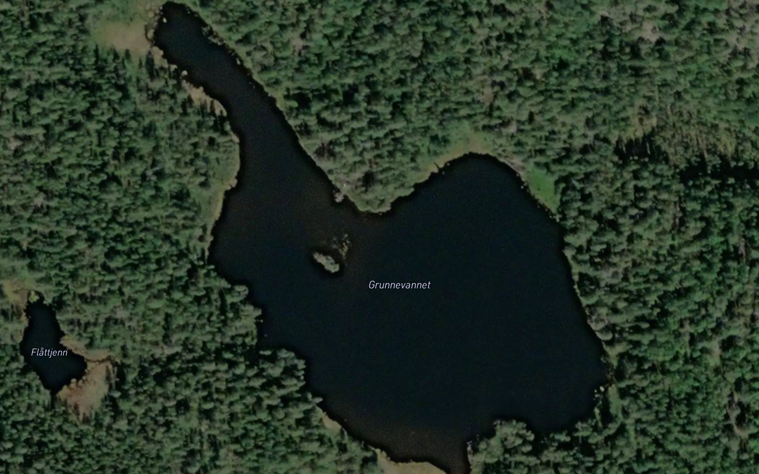 Grunnevannet