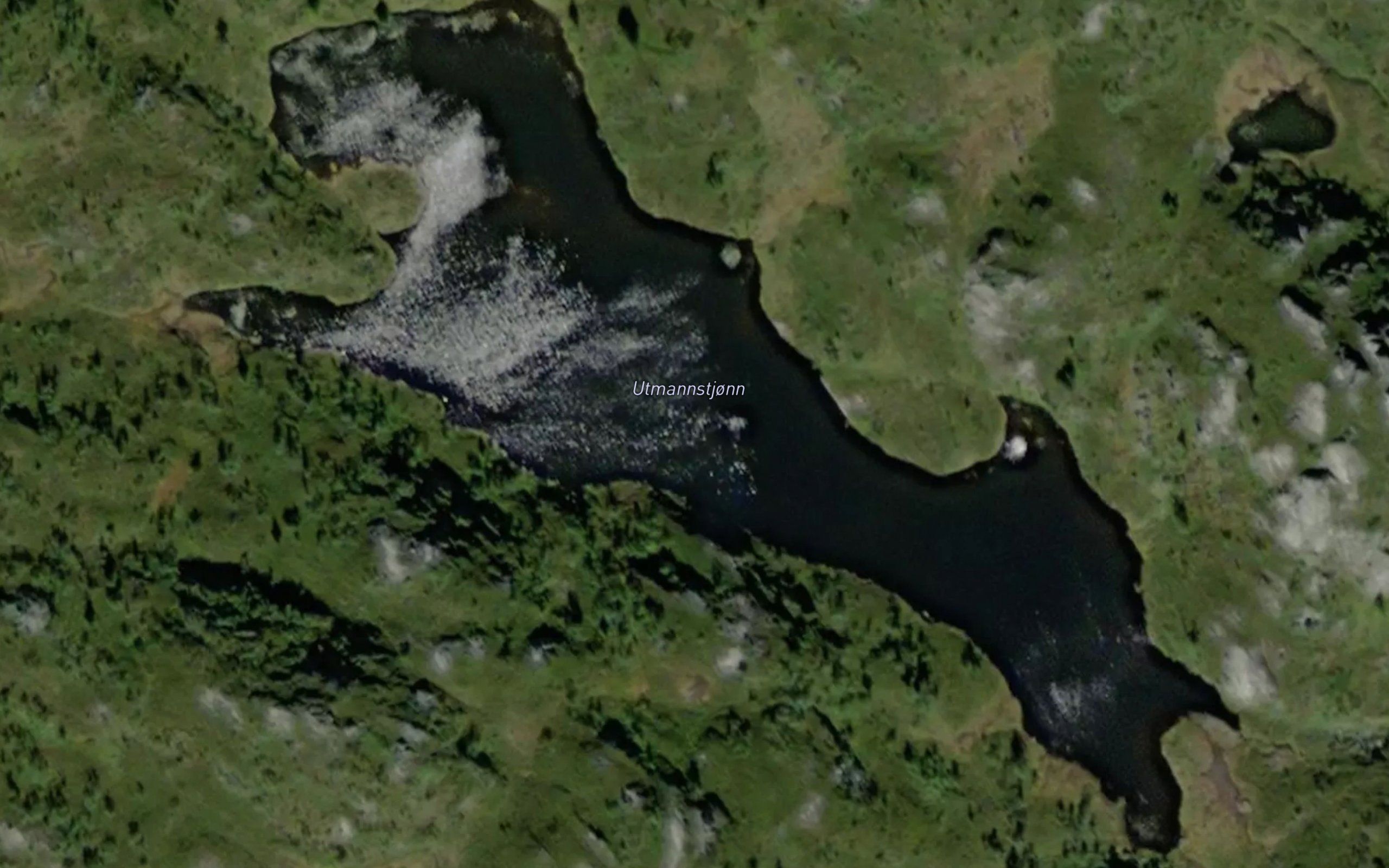 Utmanntjorna