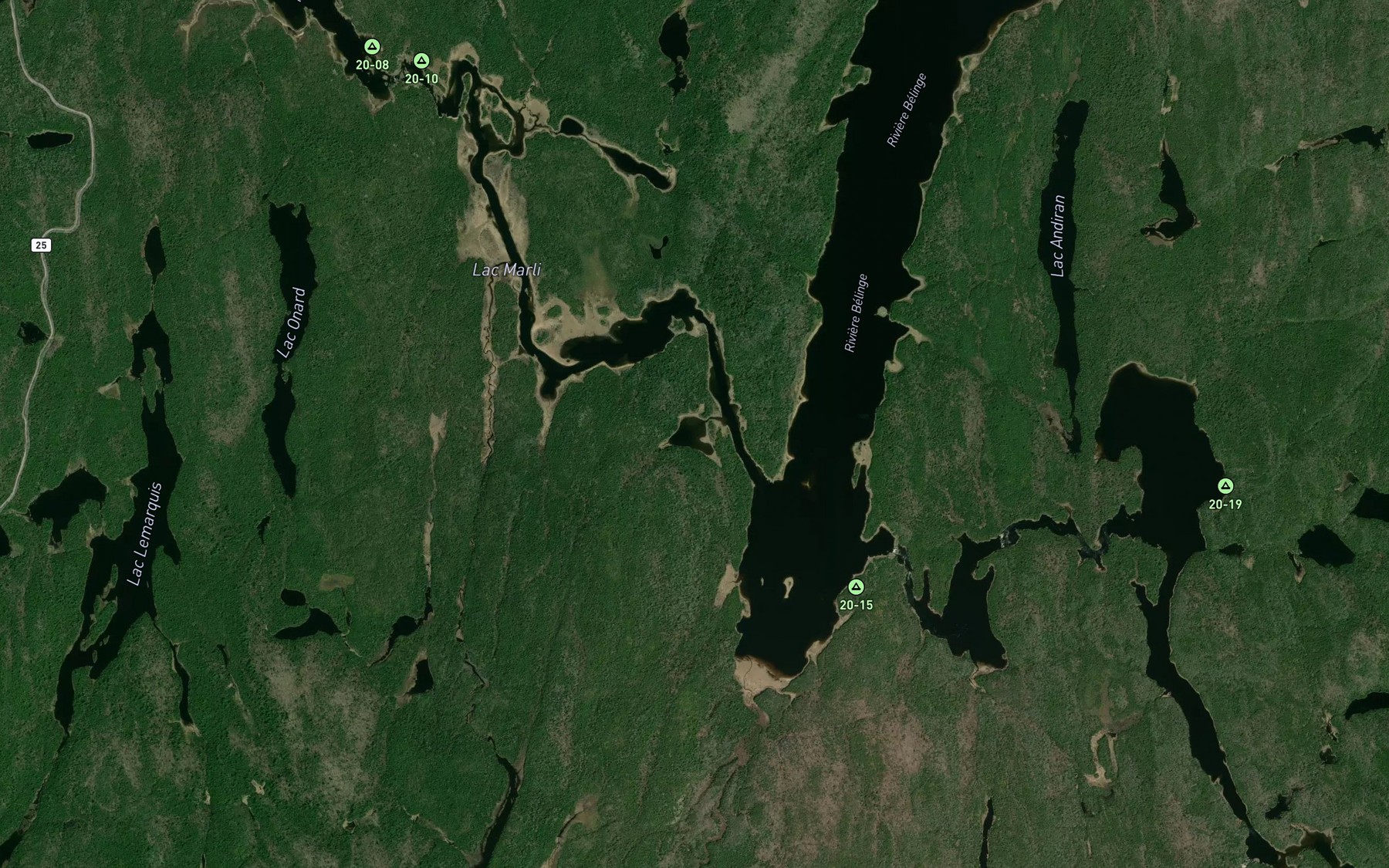 Satellite map of the Lac Leman