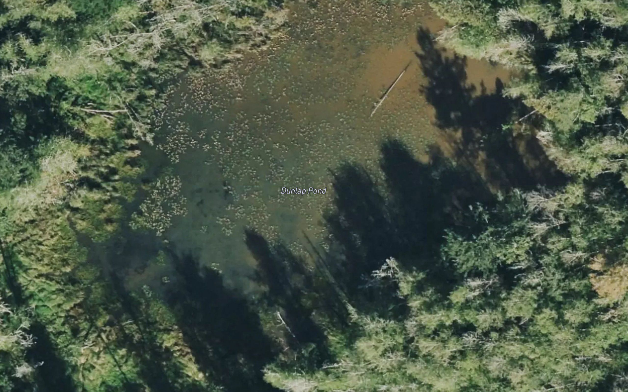Dunlap Pond