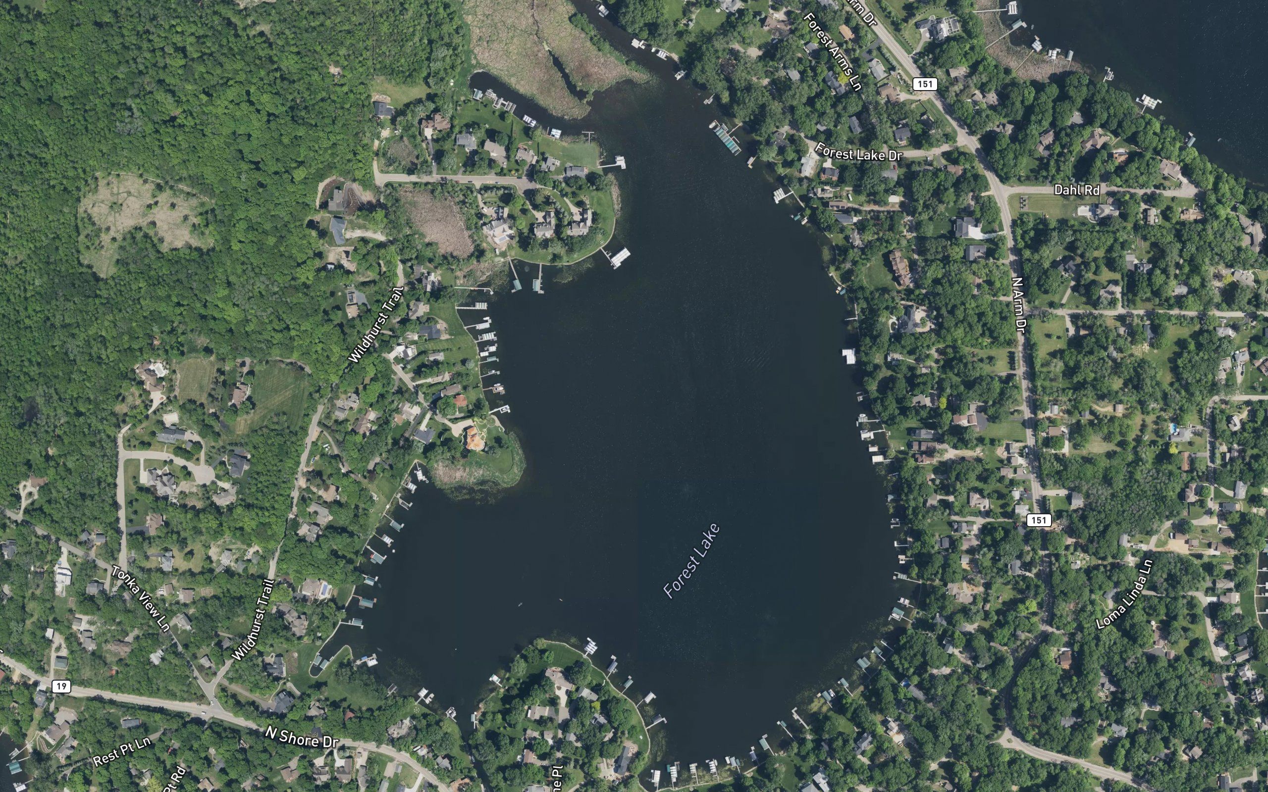 Forest Lake