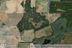 White Pond (historical)