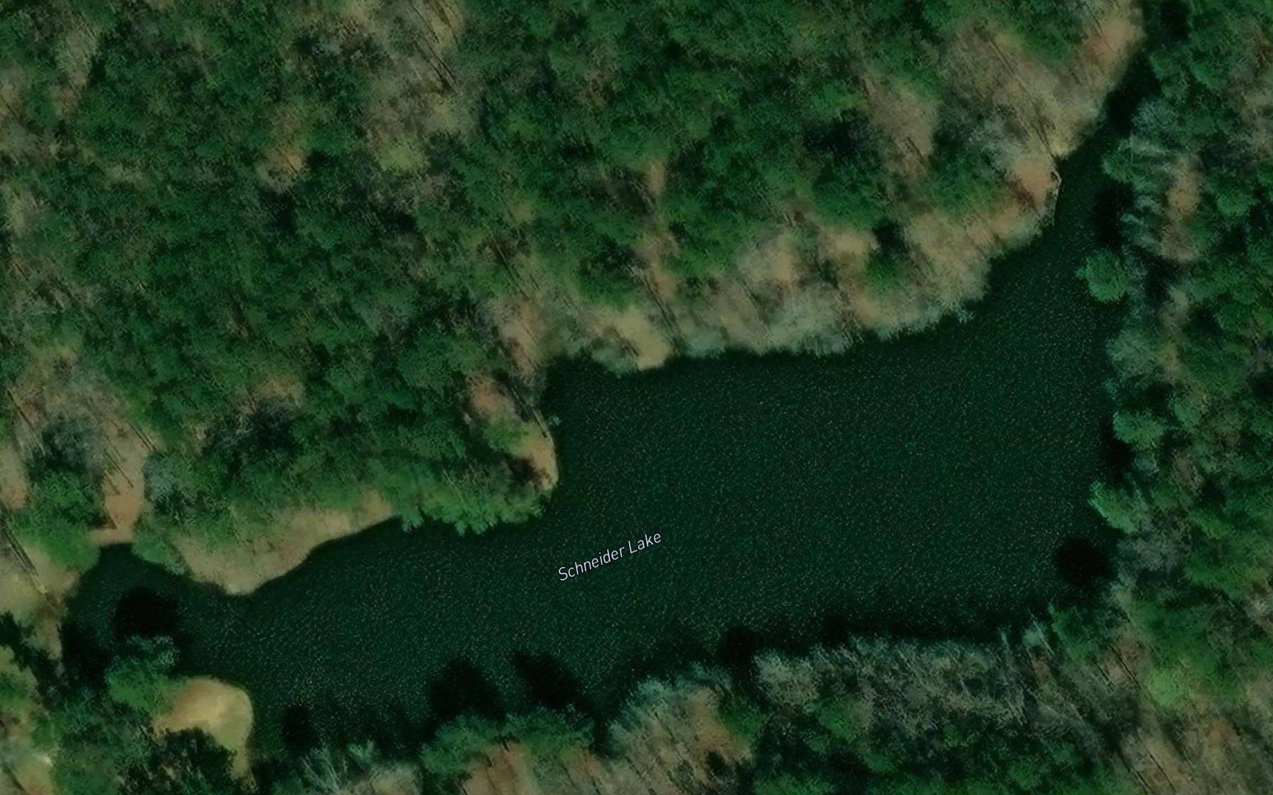 Elliotts Lake