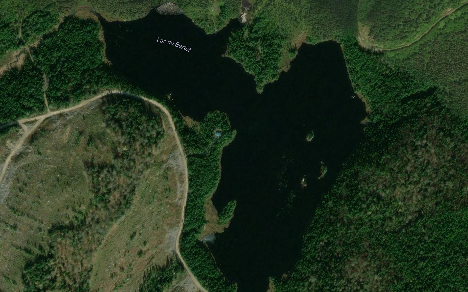 Satellite map of the Lac du Berlot