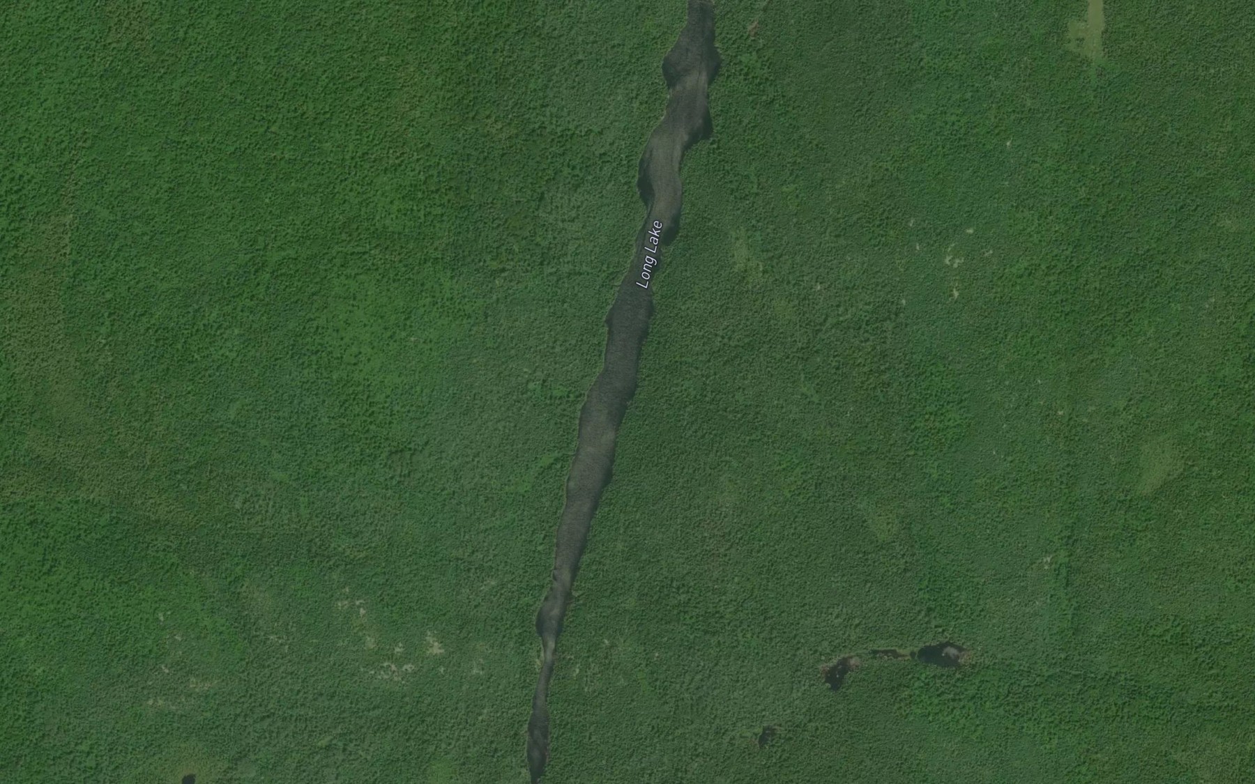 Satellite map of the Long Lake