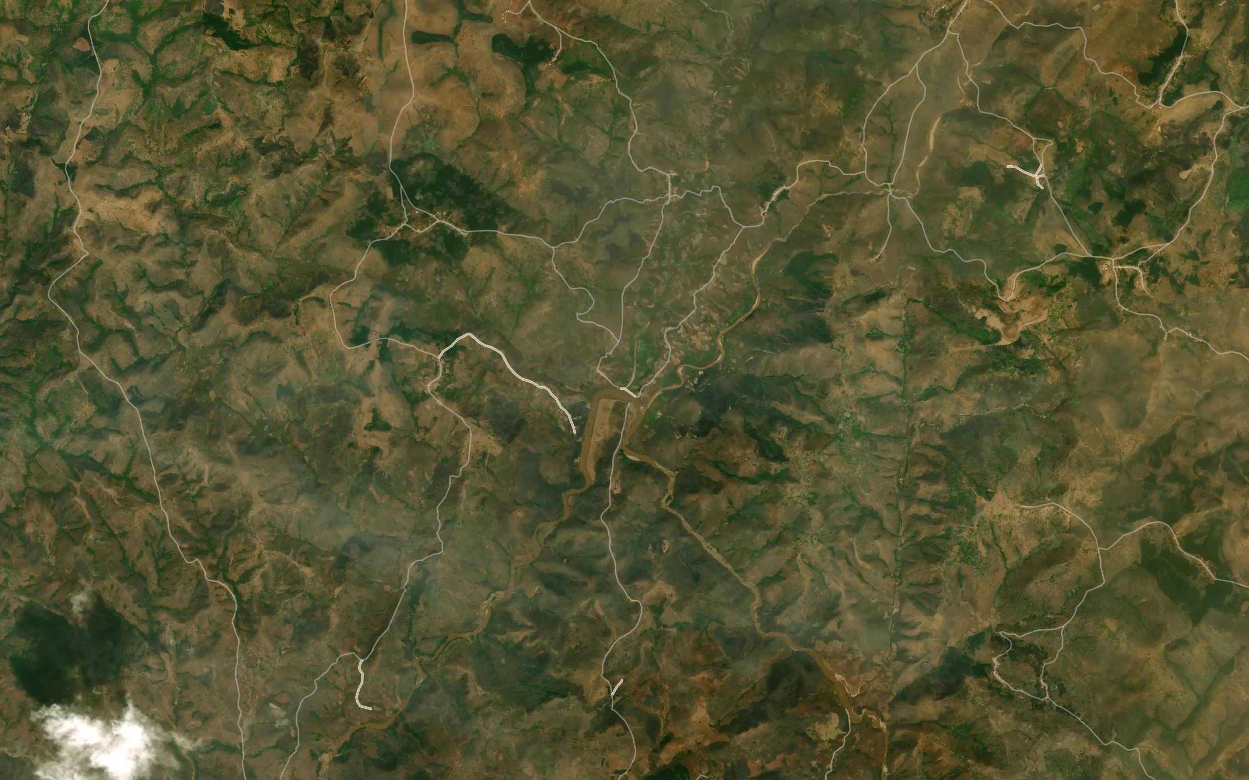 Tumbuwa