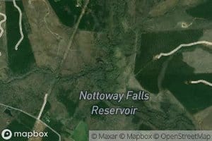 Modest Creek