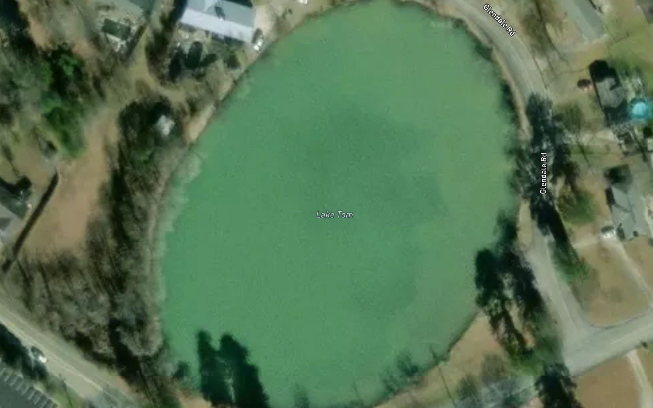 Lake Tom