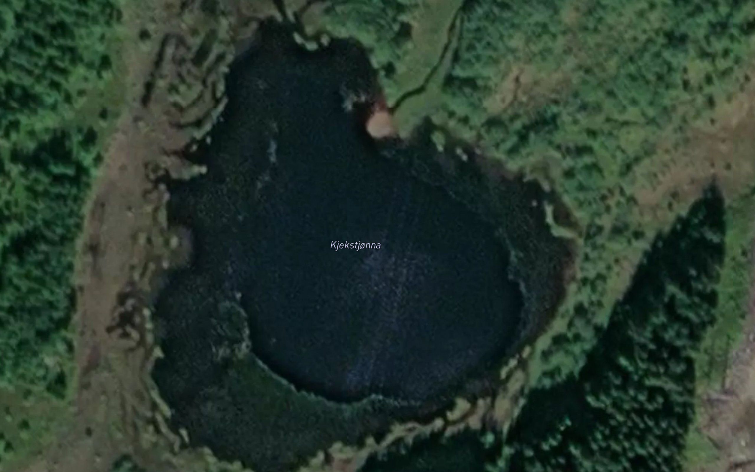 Kjekstjorna