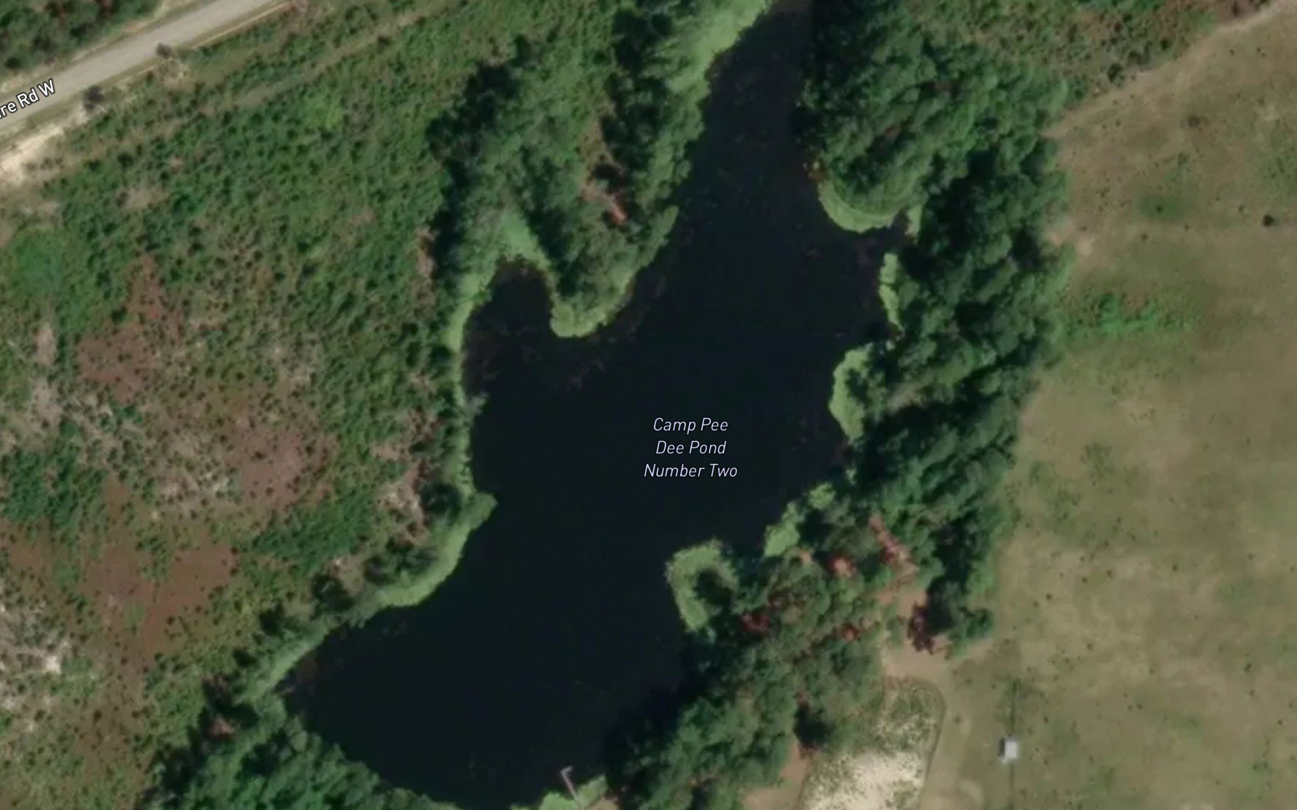 Camp Pee Dee Pond Number Two