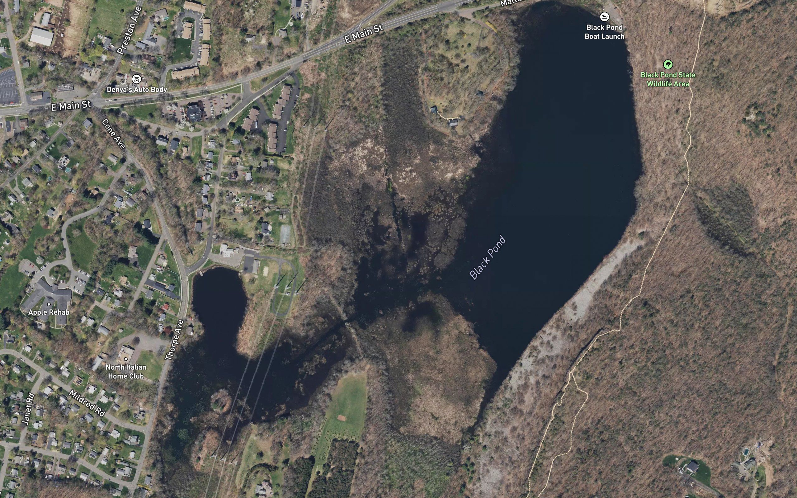 Black Pond
