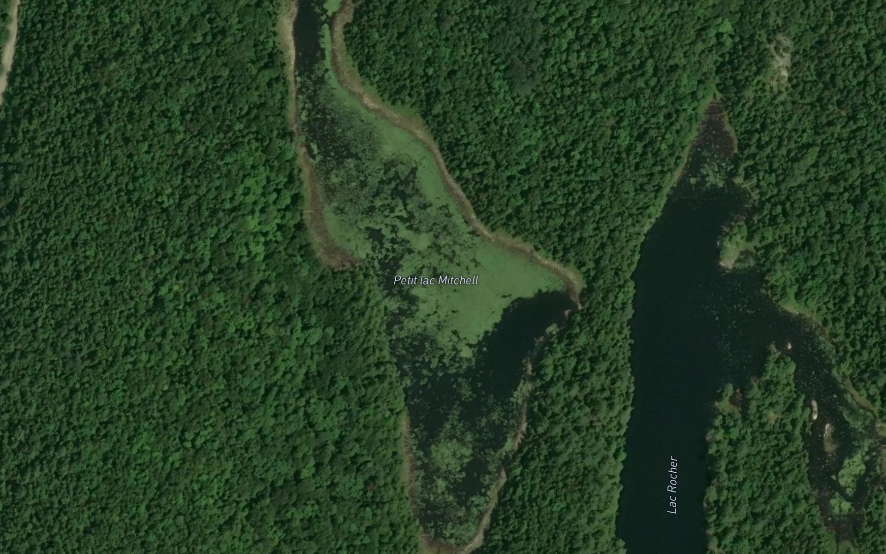Satellite map of the Petit lac Mitchell