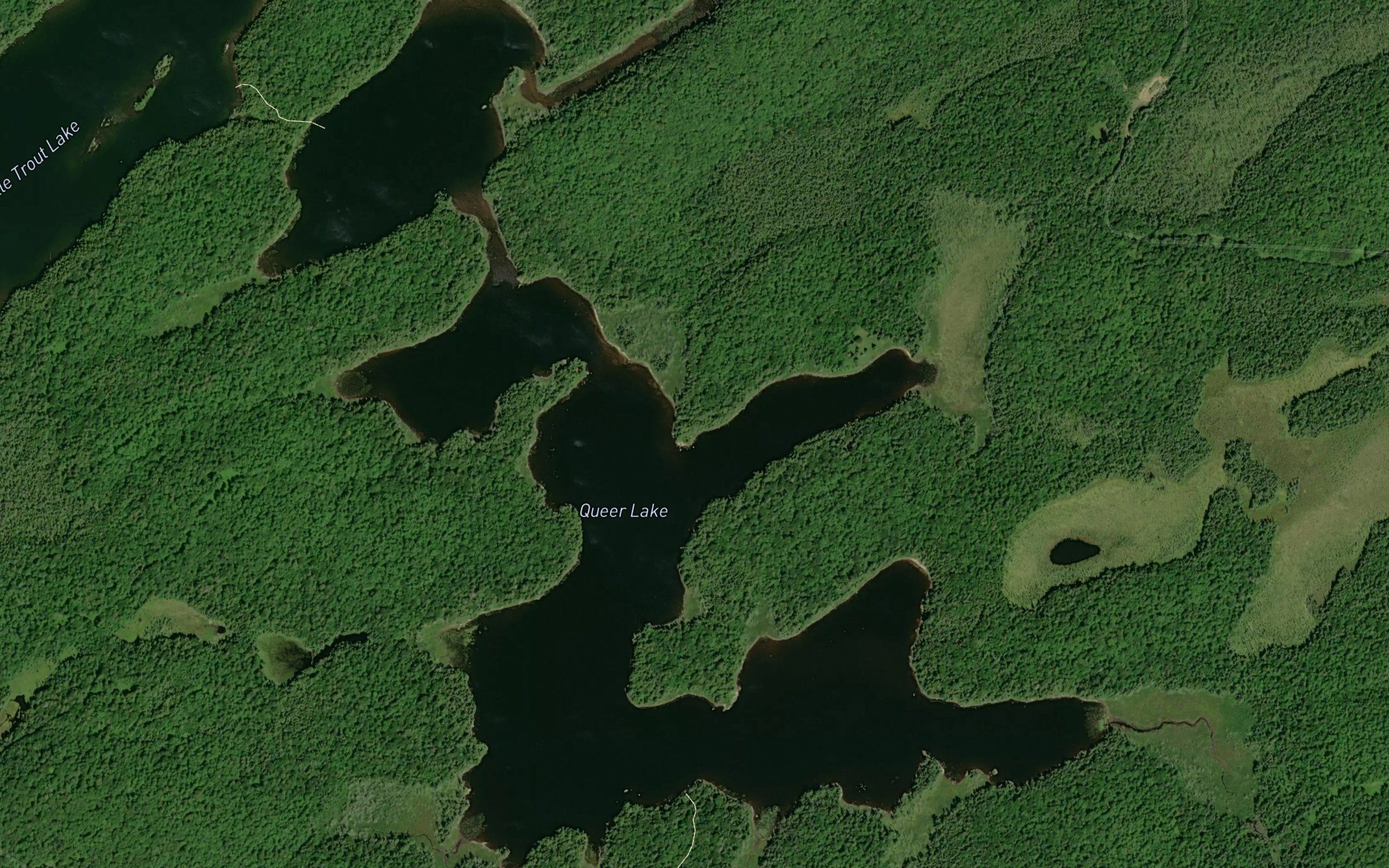 Queer Lake