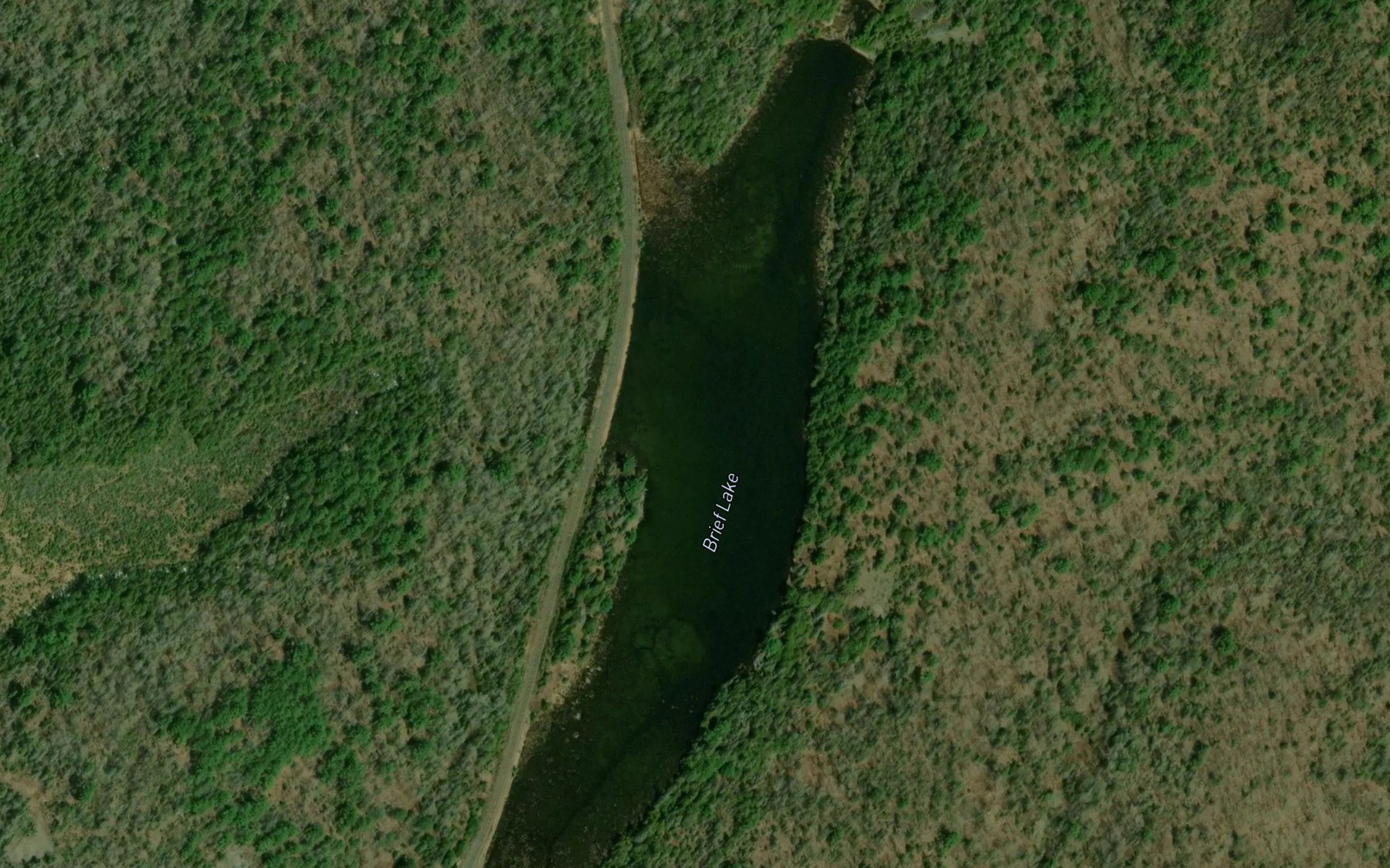 Satellite map of the Brief Lake