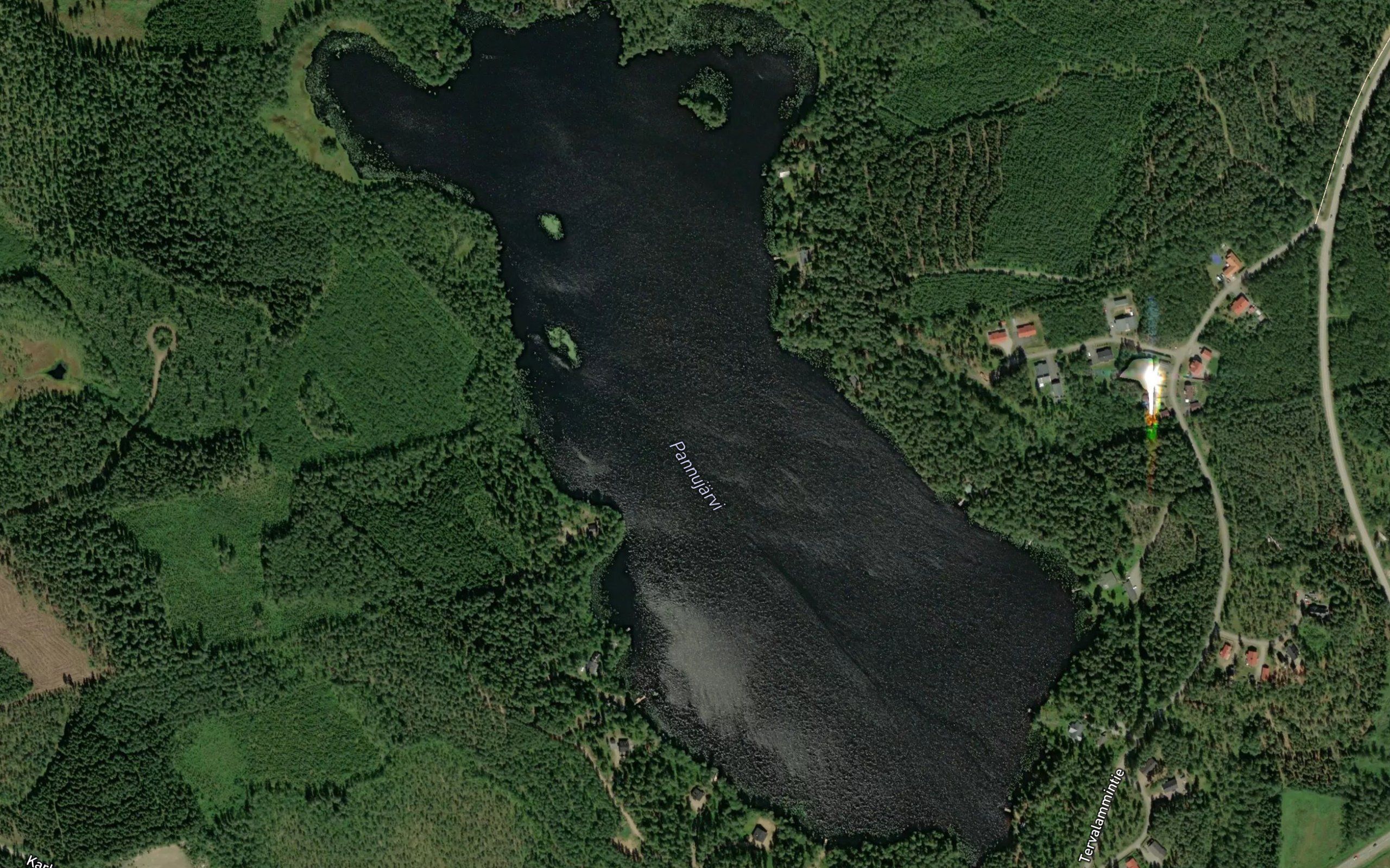 Pannujarvi