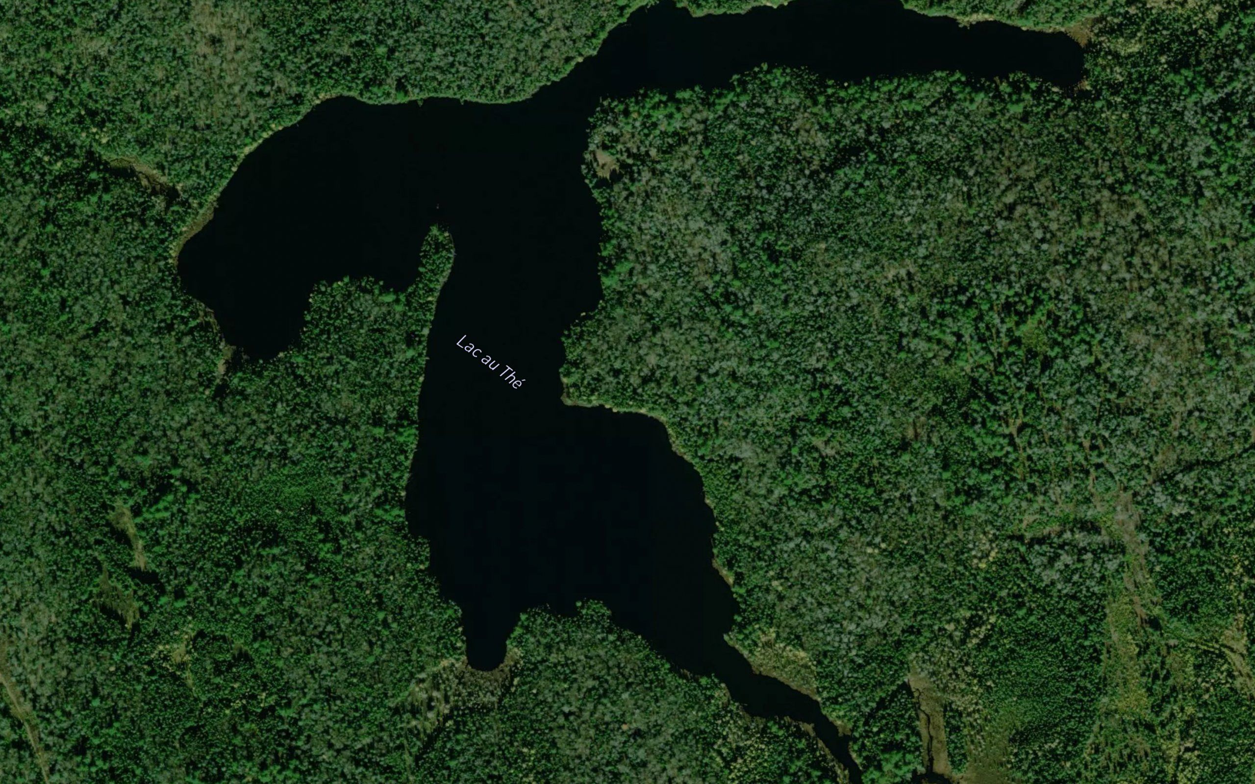 Lac au The