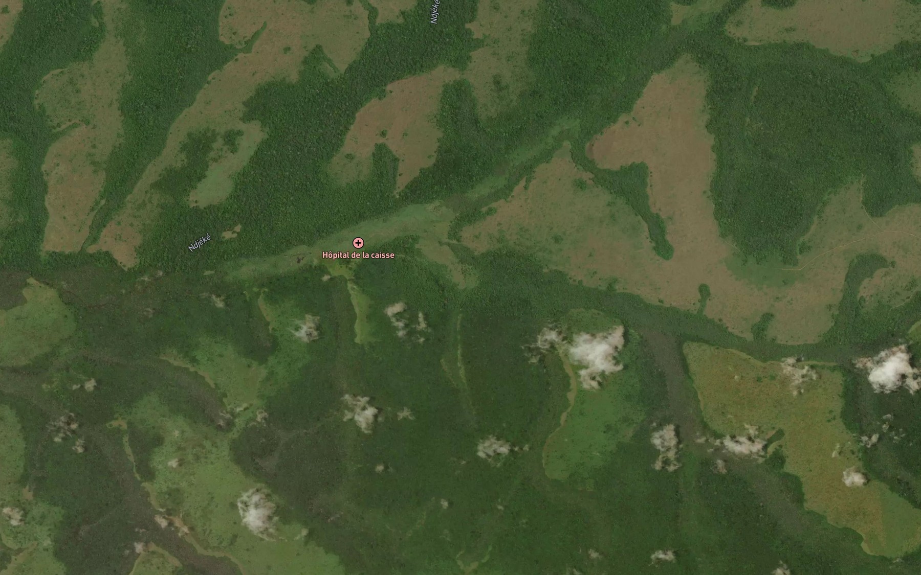 Satellite map of the Bole