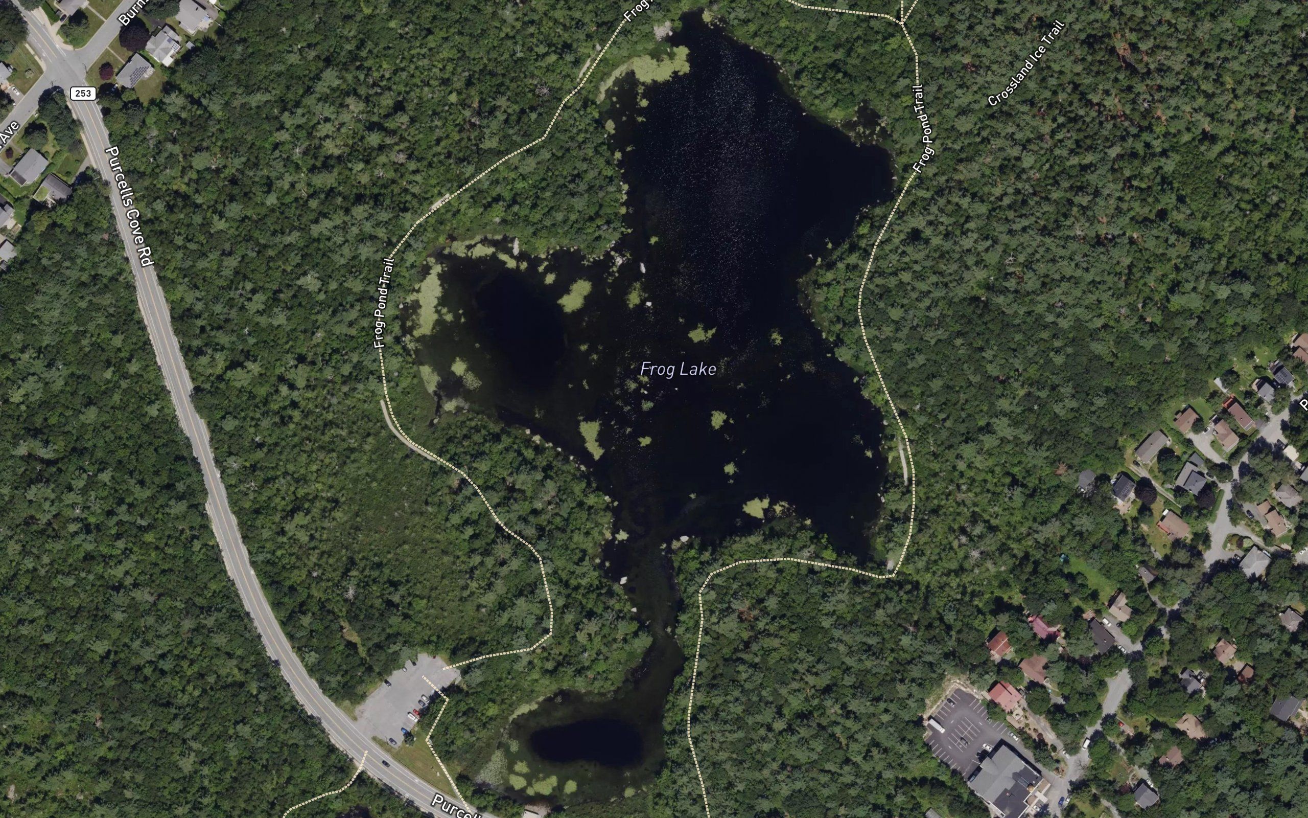 Frog Lake