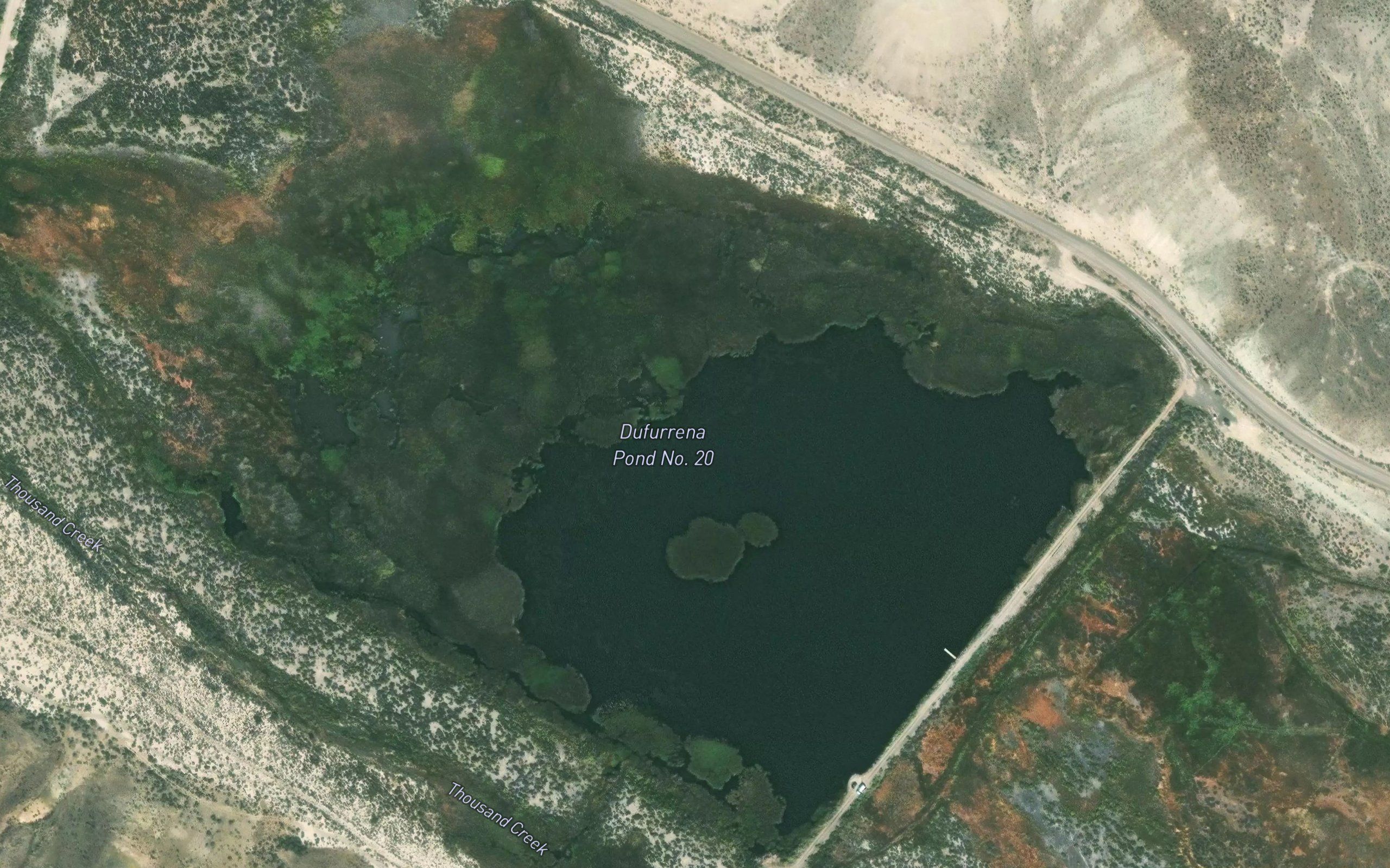 Dufurrena Pond Number Twenty