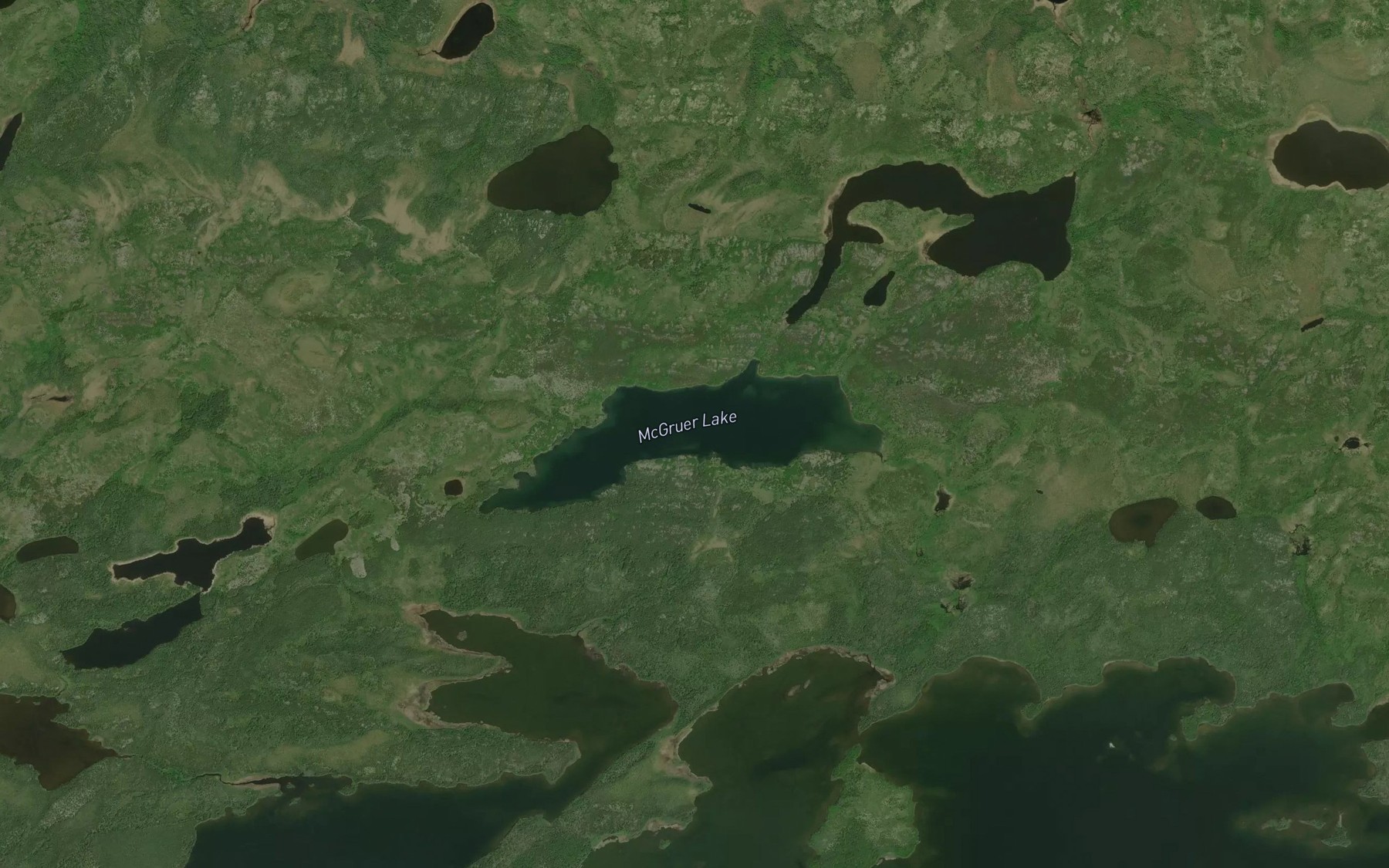 Satellite map of the McGruer Lake