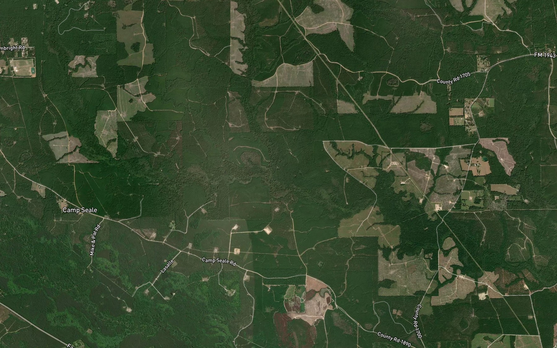 Satellite map of the Long Branch