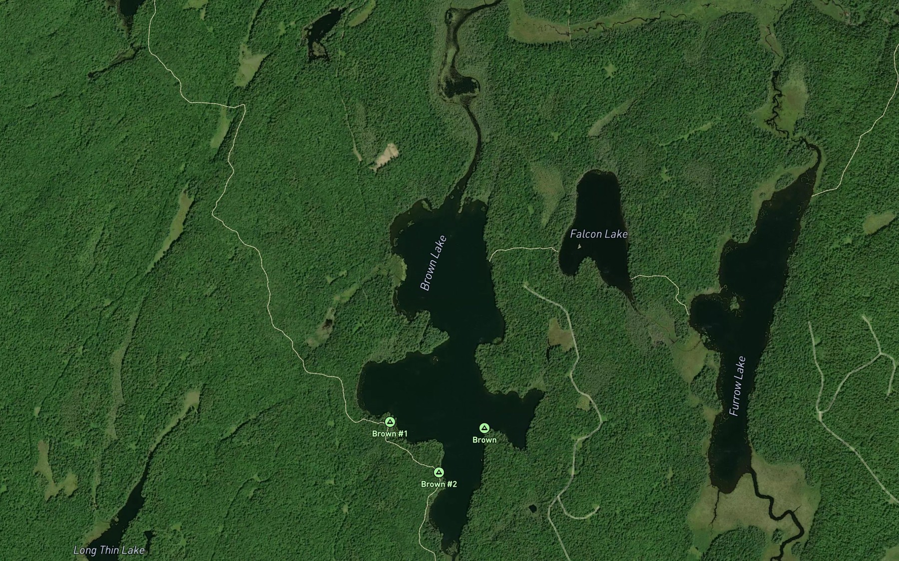Satellite map of the Brown Lake