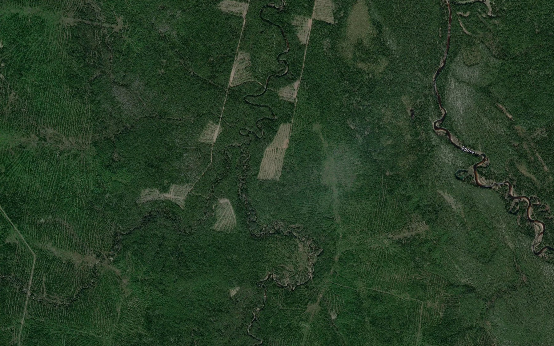 Satellite map of the Kozdinsavozh
