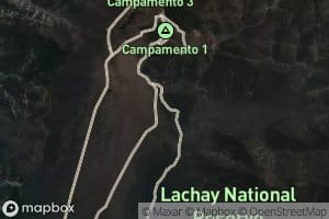 Hierbabuena Jaguay