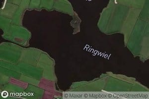 Ringwiel