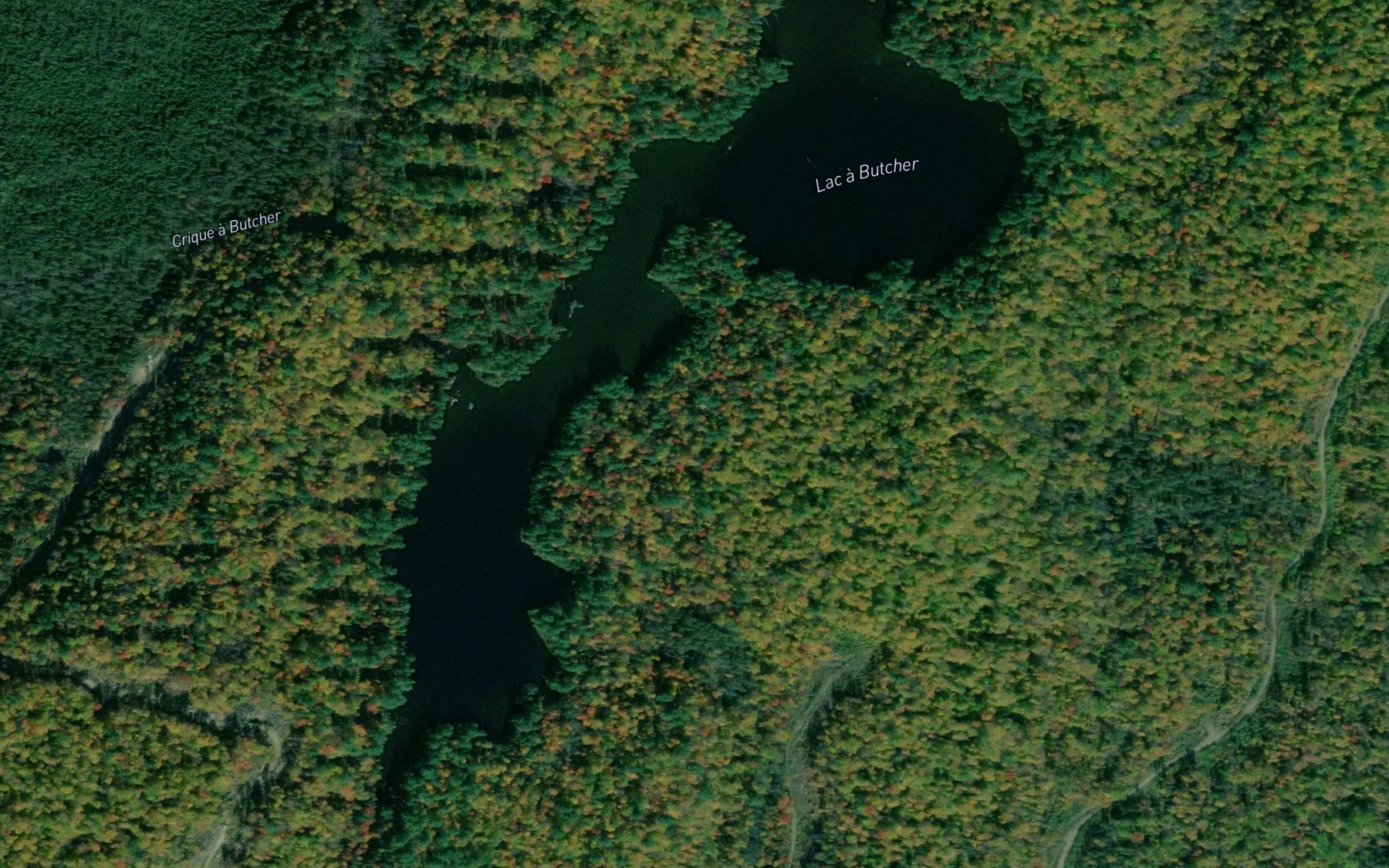 Satellite map of the Lac a Butcher