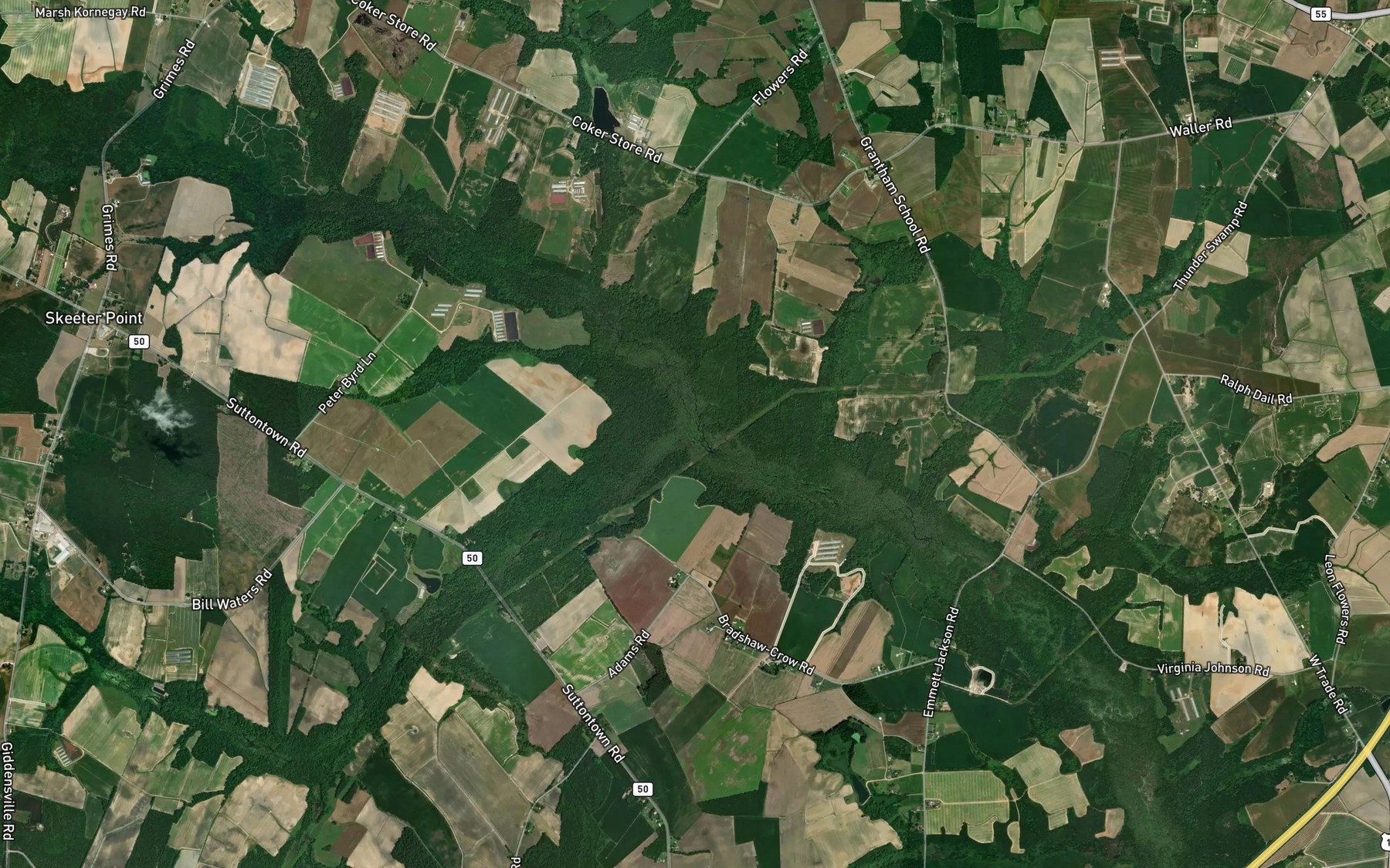 Satellite map of the Youngs Swamp