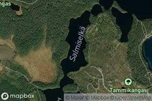 Salmiselka
