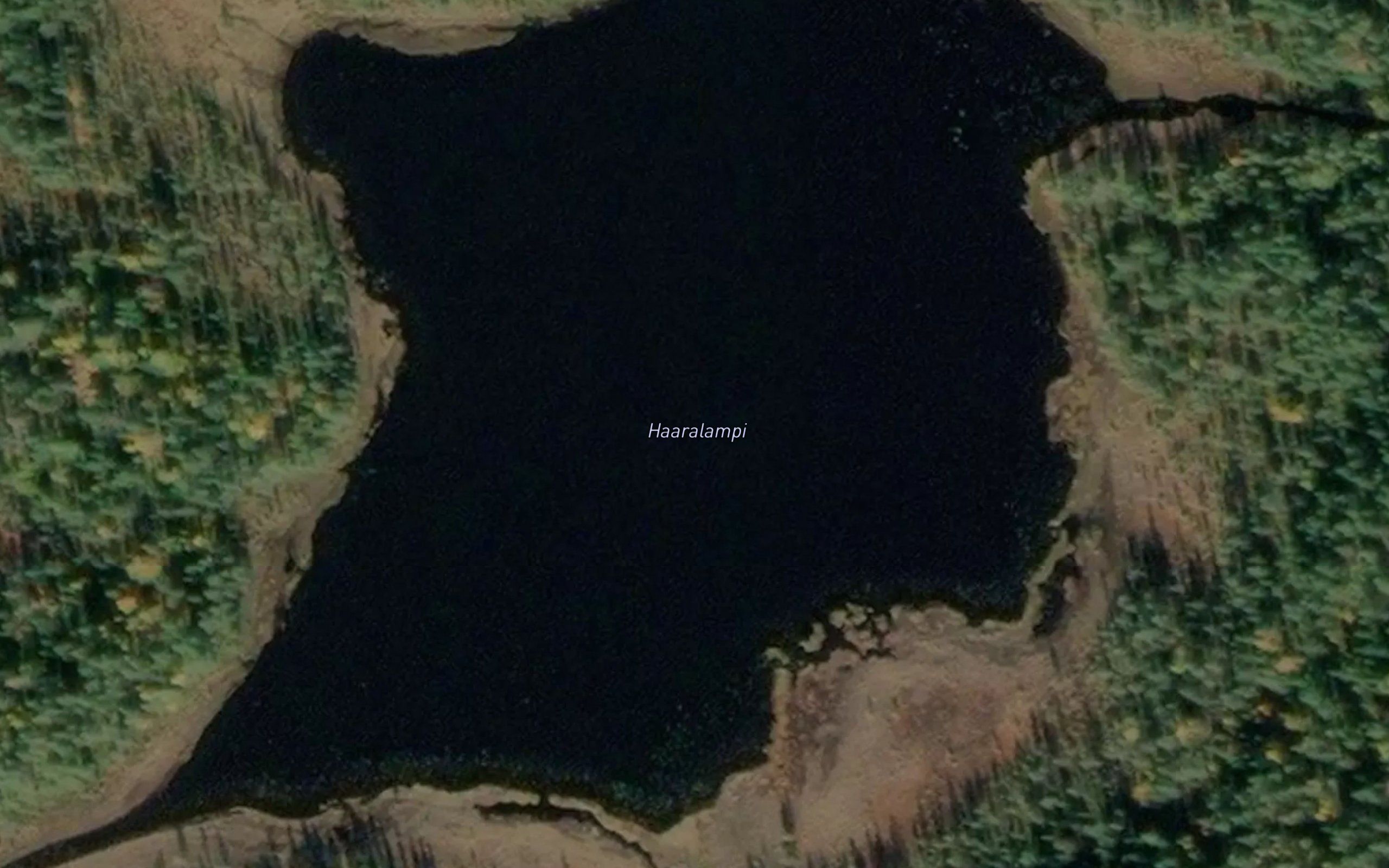 Haaralampi