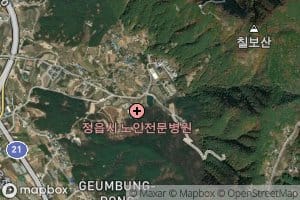 Geumbukje