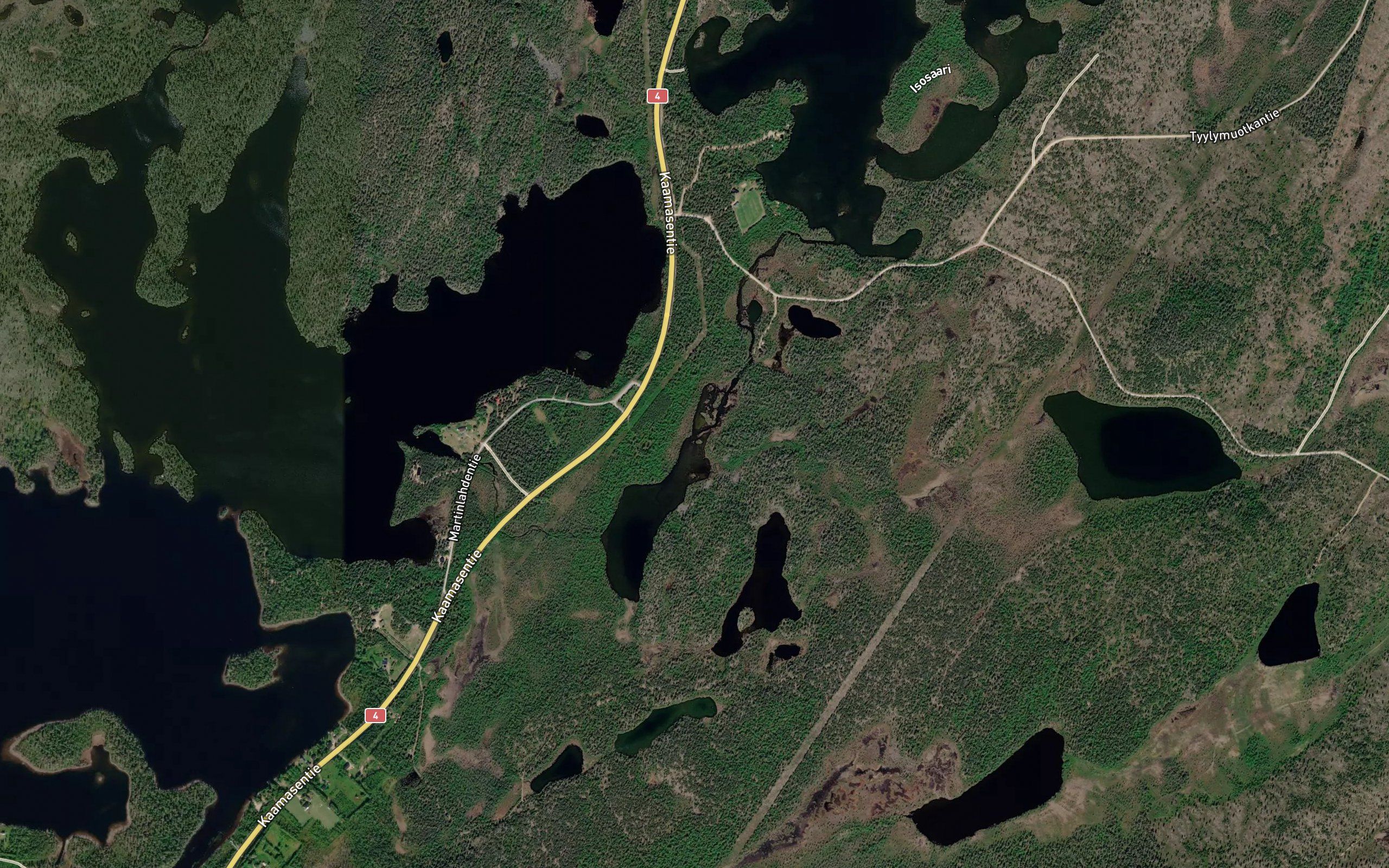 Martveijuuha