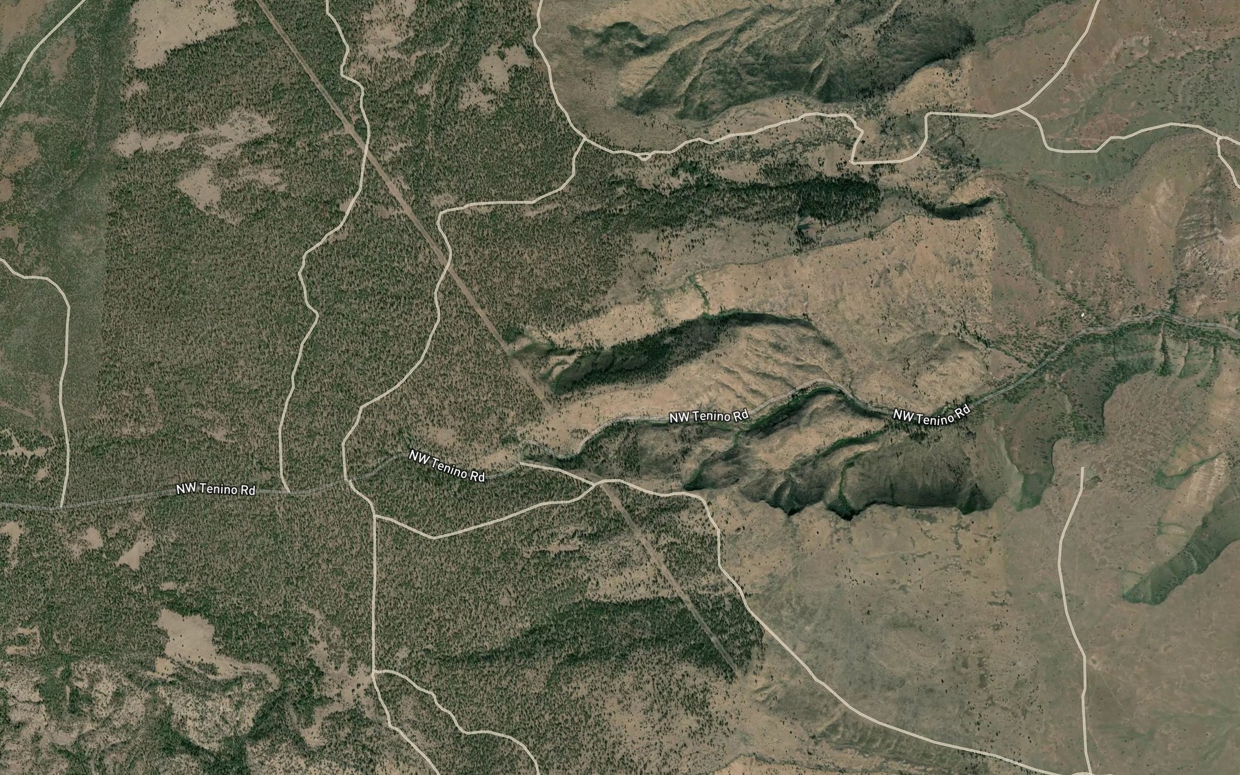 Satellite map of the Squeeksville Spring