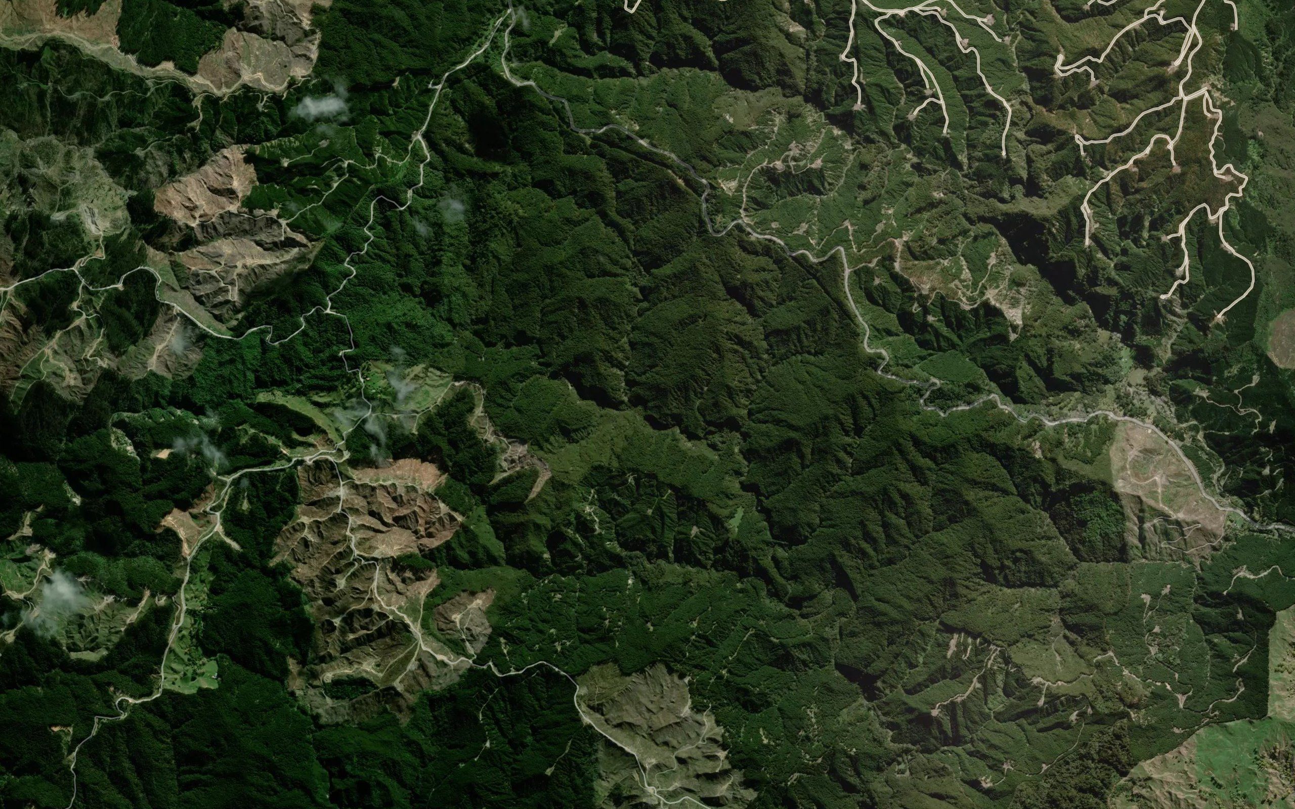 Whakaauranga Stream