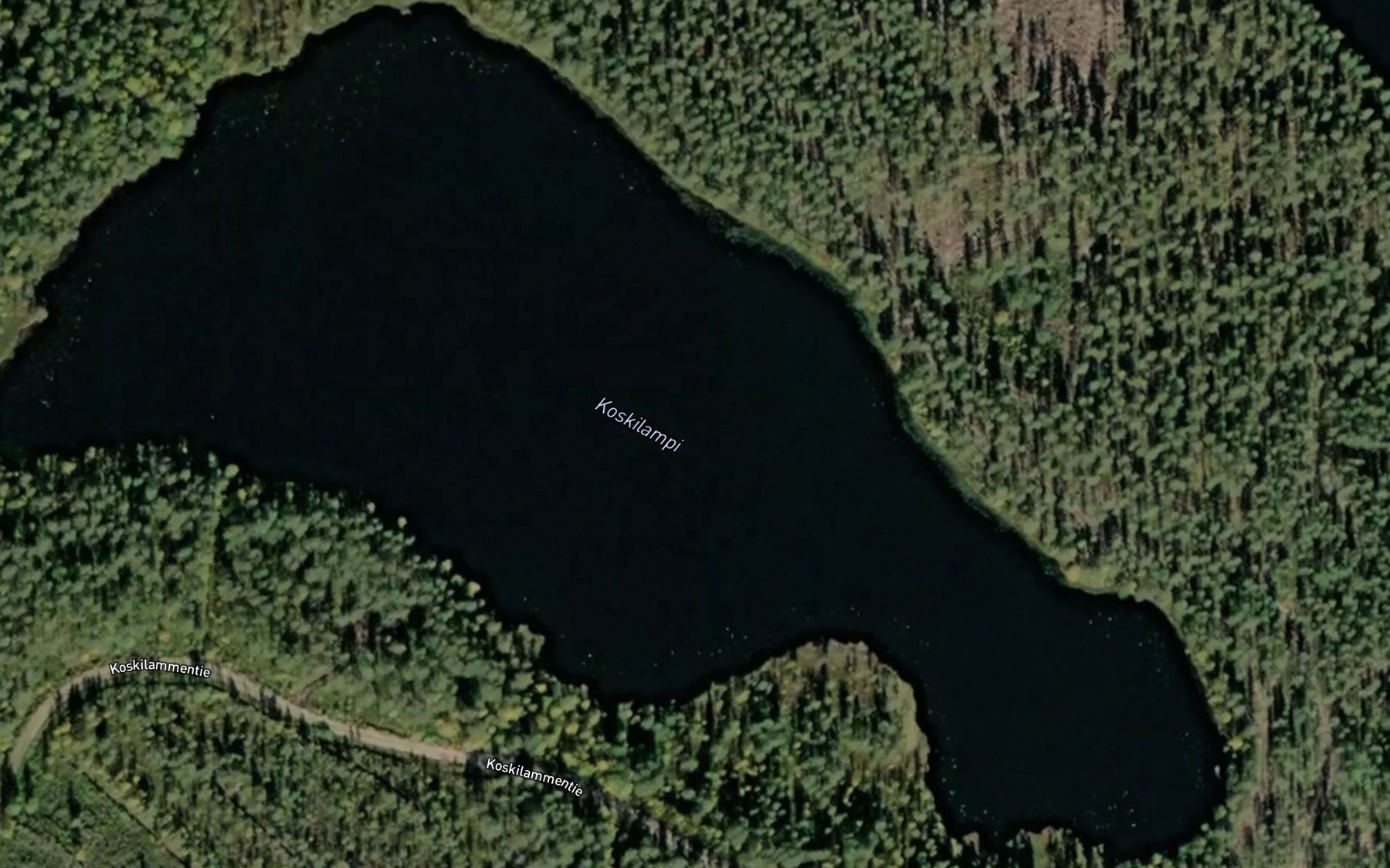 Satellite map of the Koskilampi