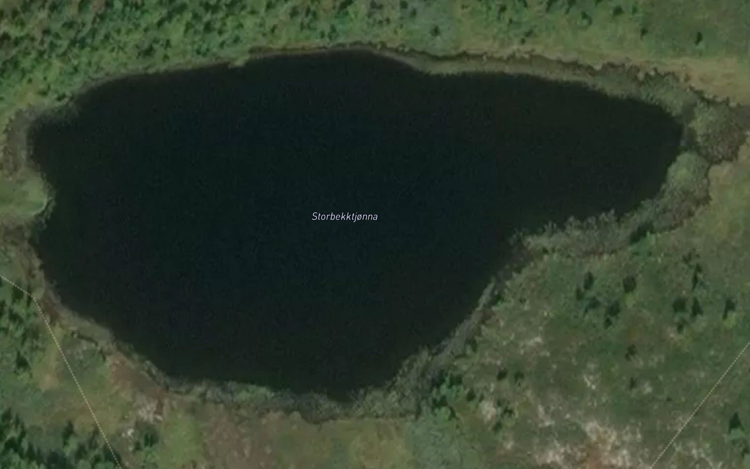 Storbekktjonna