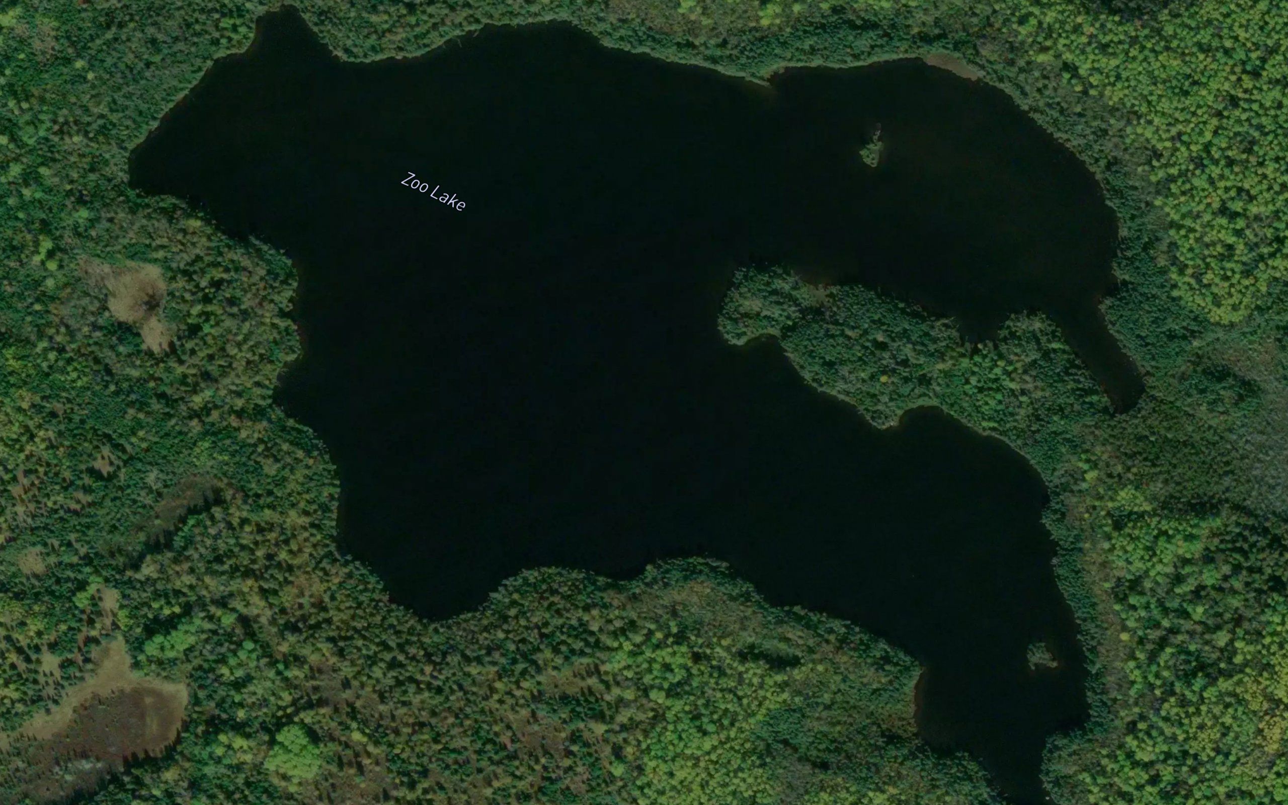Zoo Lake