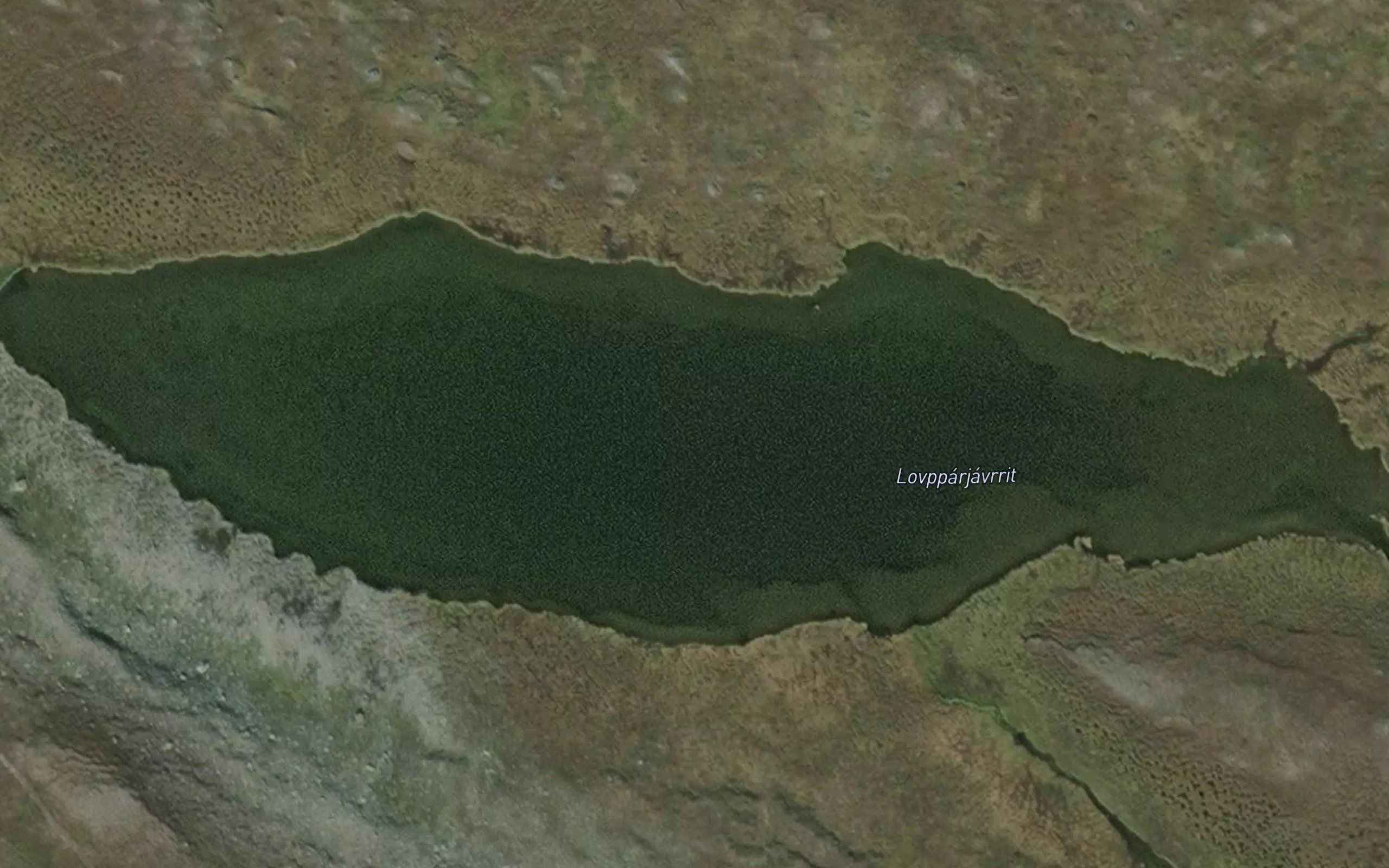 Lavparjavrit