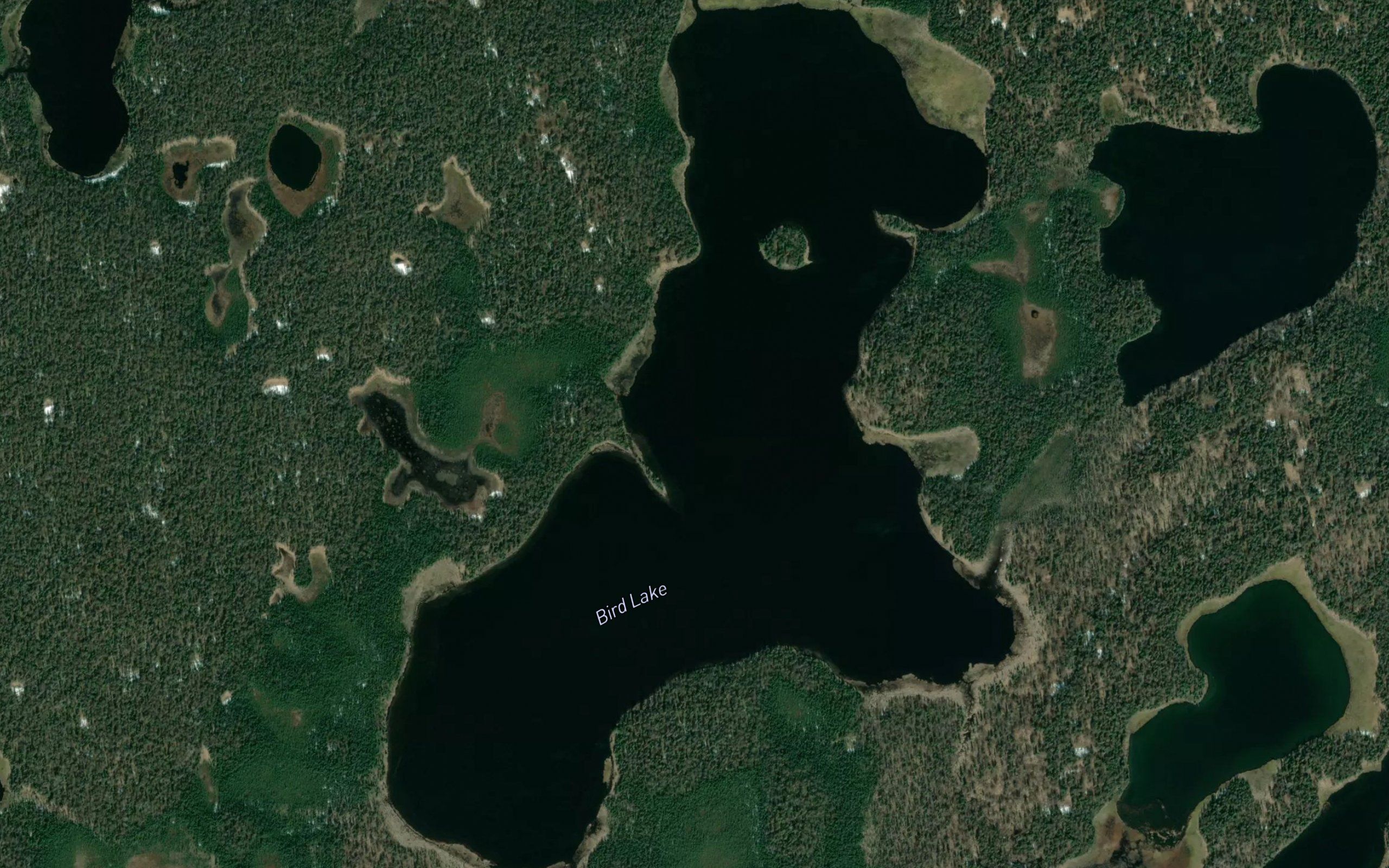 Bird Lake