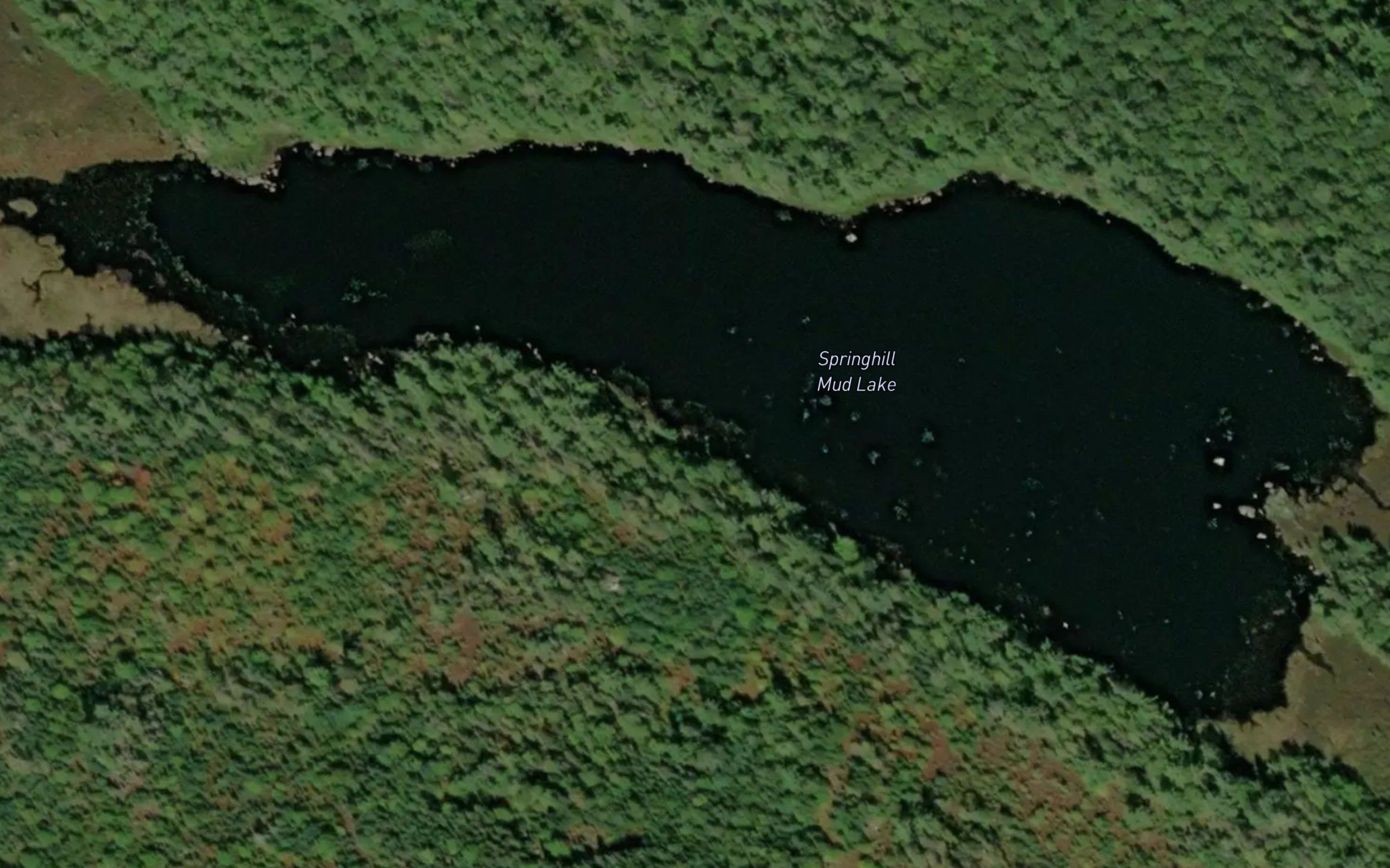 Springhill Mud Lake